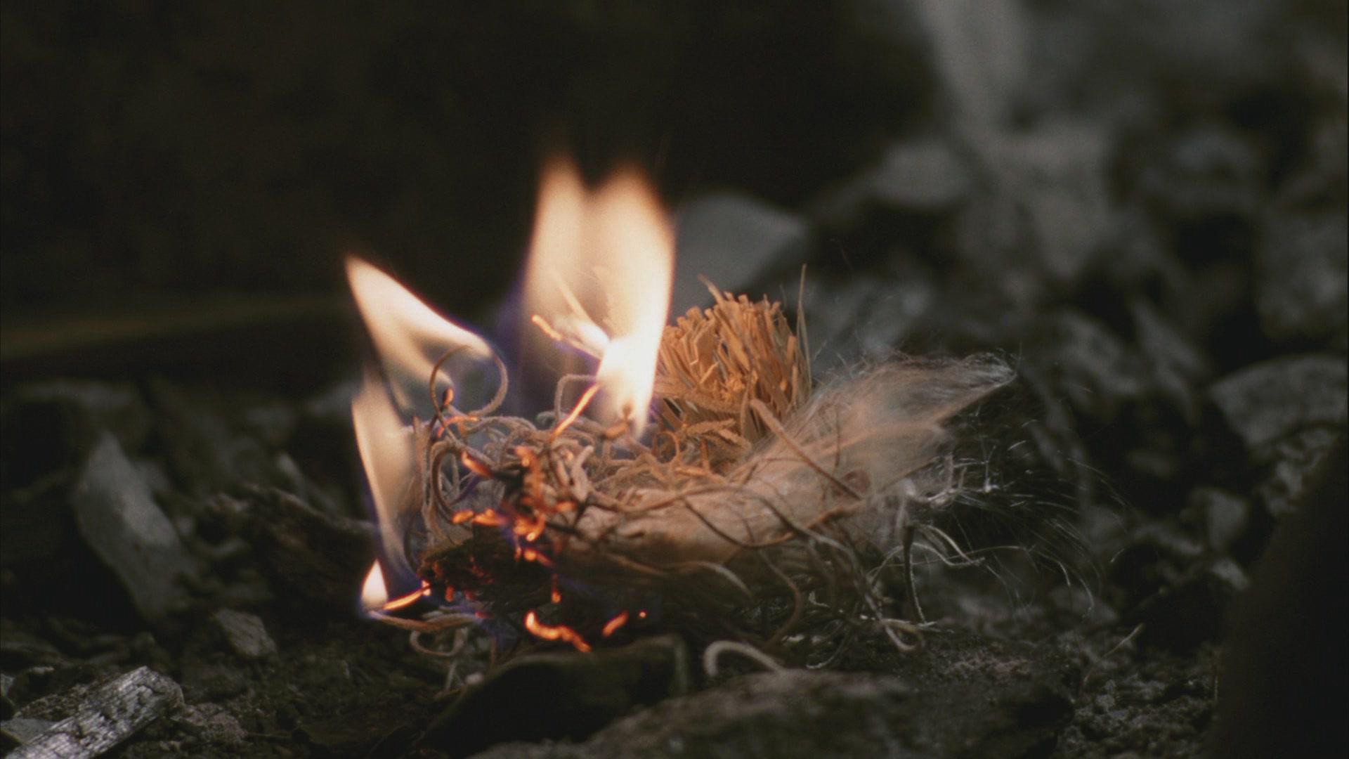 The Fountain (2006) —  shot,  lighting