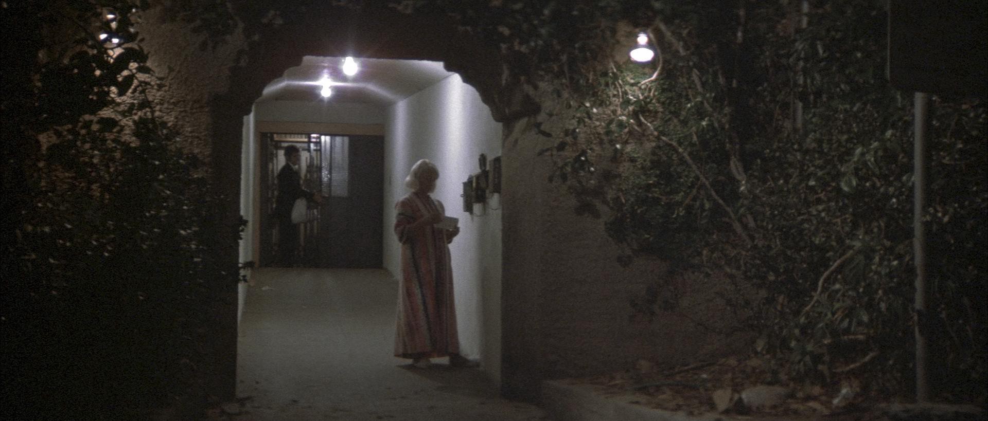 The Long Goodbye (1973) —  shot,  lighting