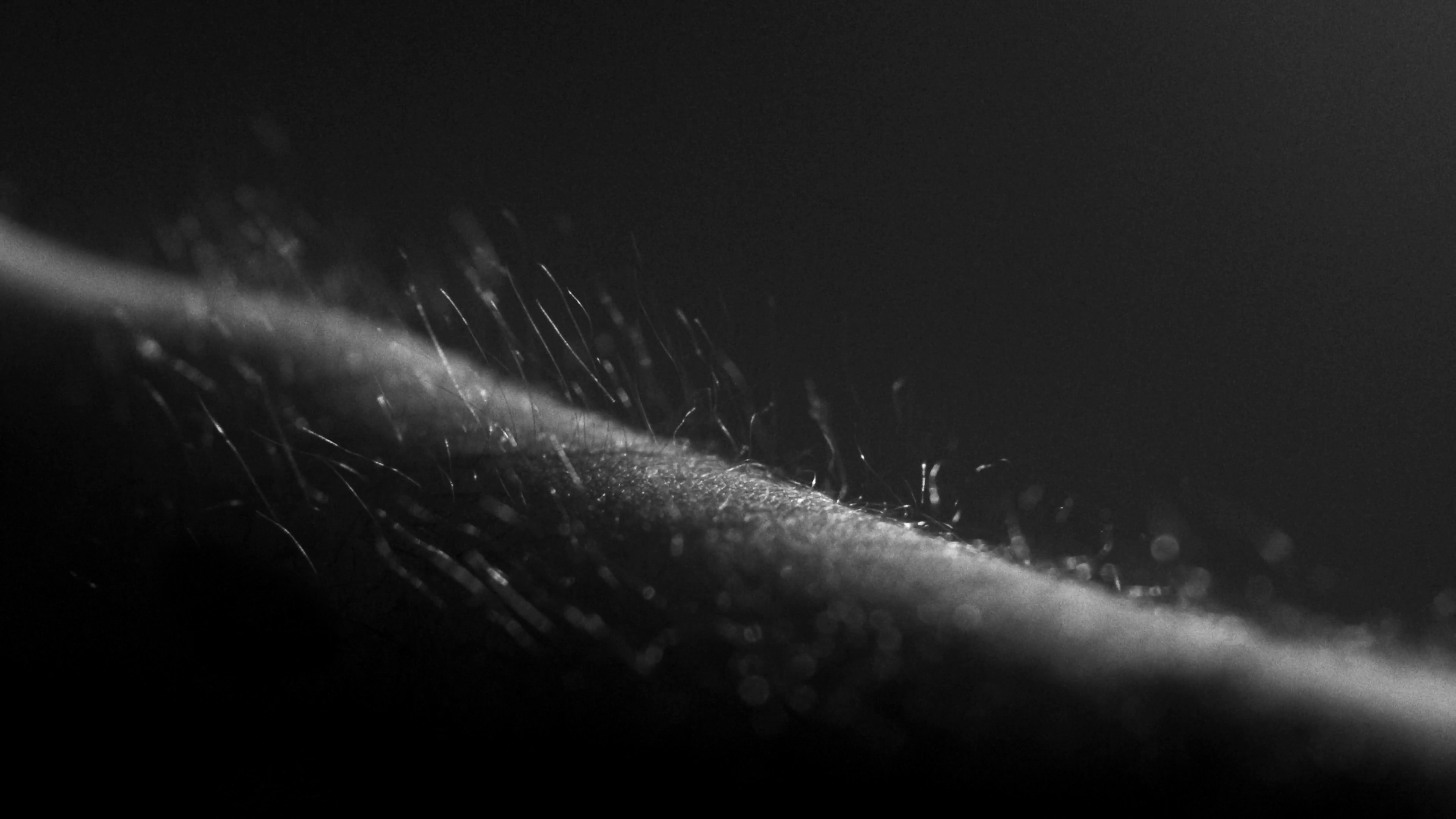 YSL - L'Homme, La Nuit de L'Homme (2023) —  shot,  lighting