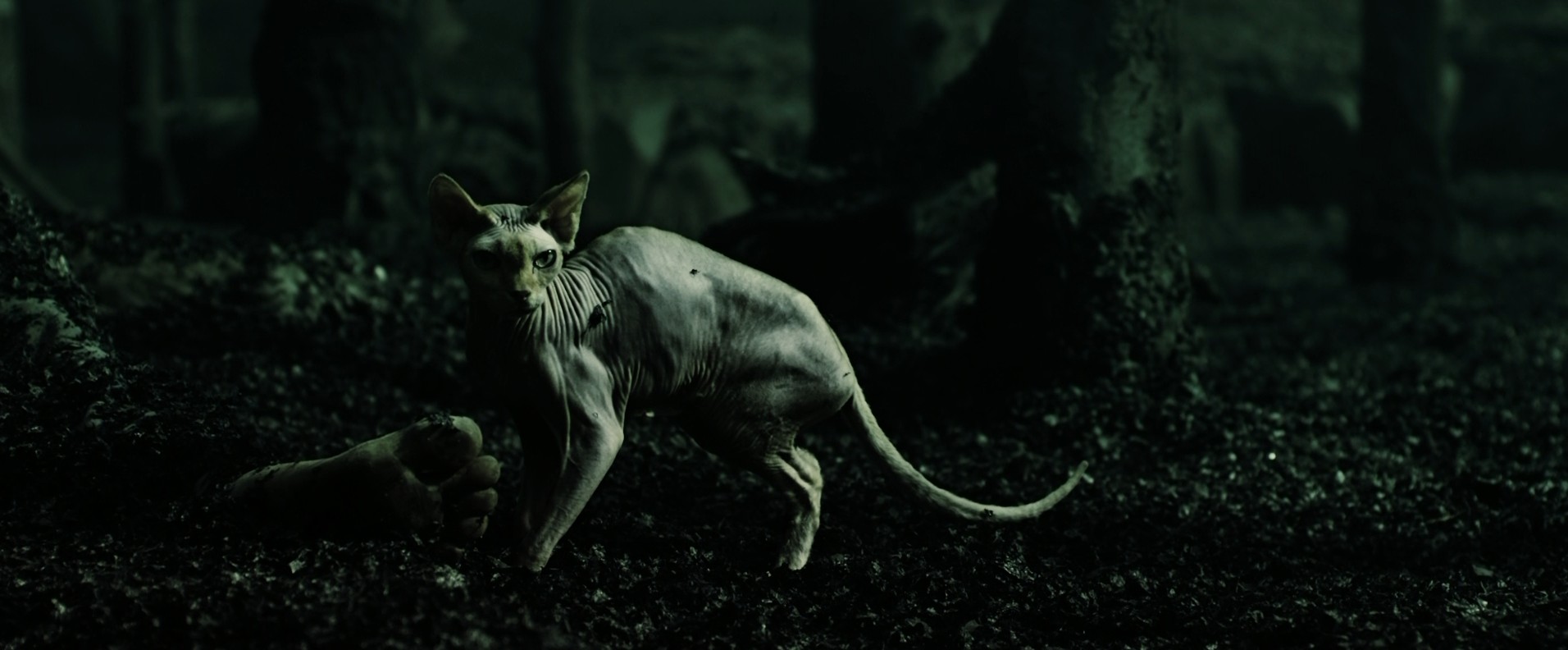 The Book of Eli (2010) —  shot,  lighting