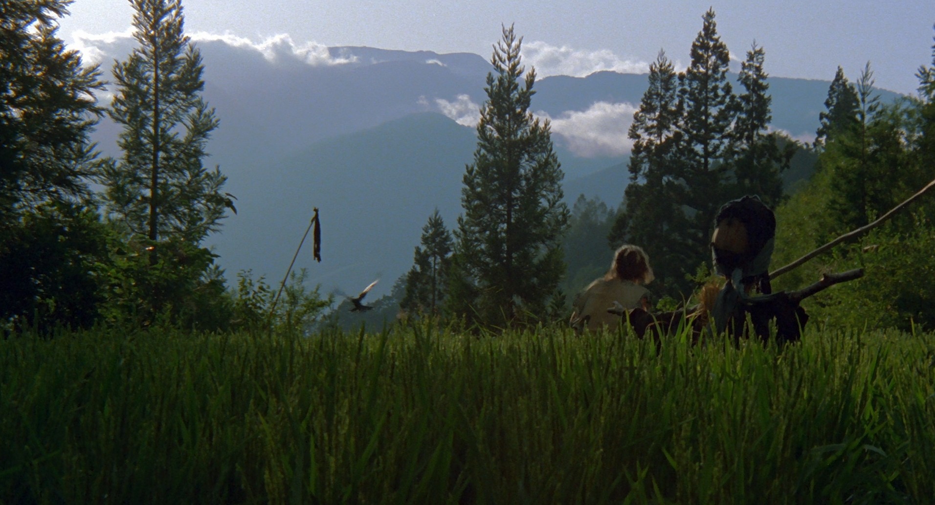 The Ballad of Narayama (1983) —  shot,  lighting