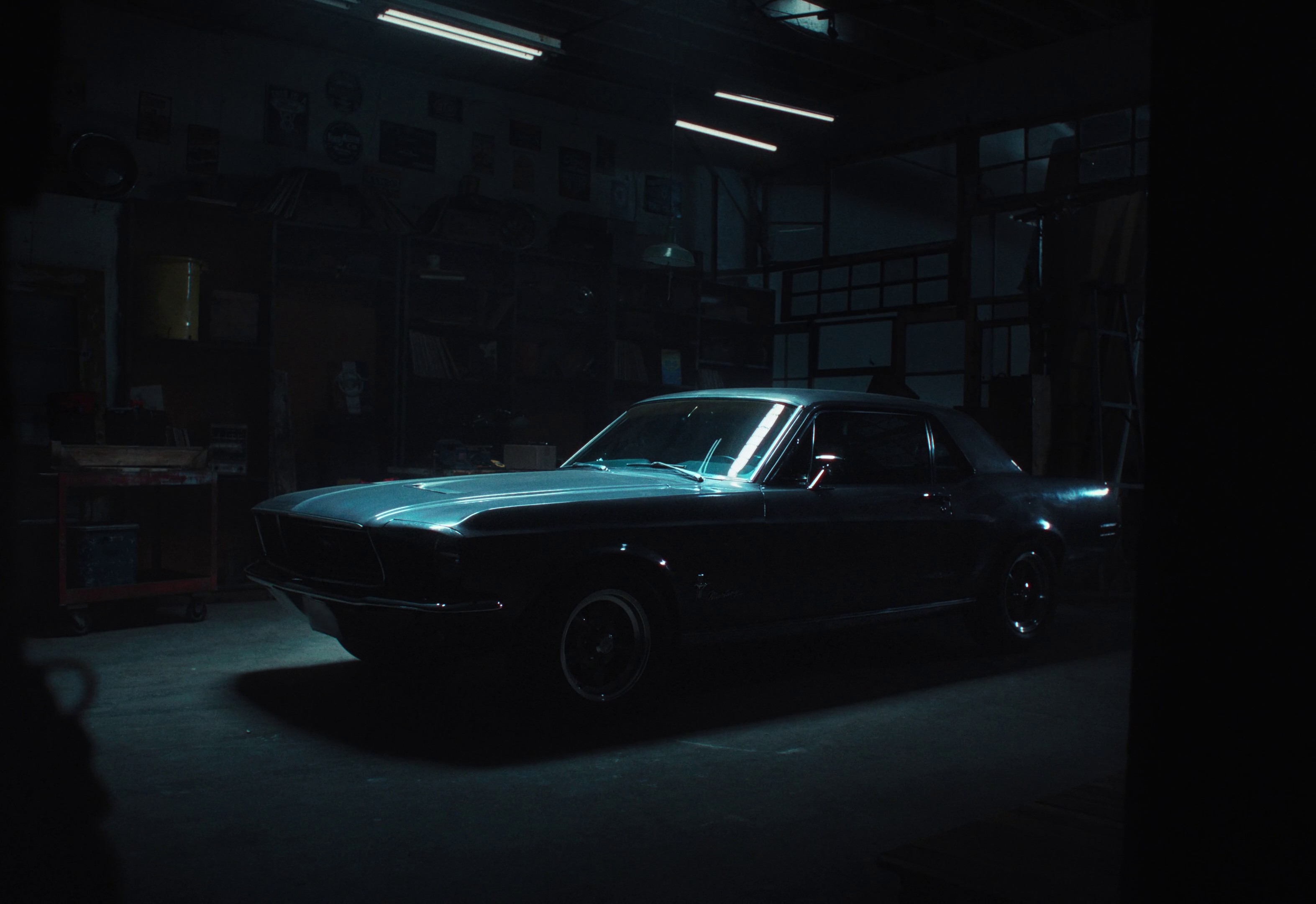 Bring on Tomorrow (2024) —  shot,  lighting