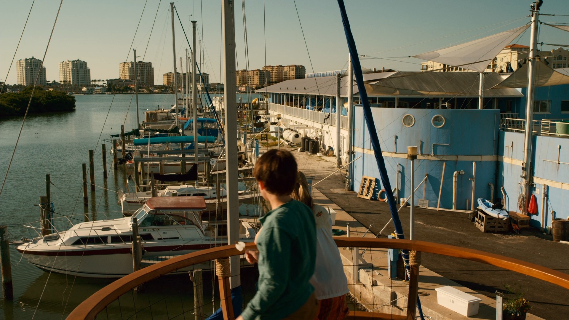 Dolphin Tale (2011) —  shot,  lighting