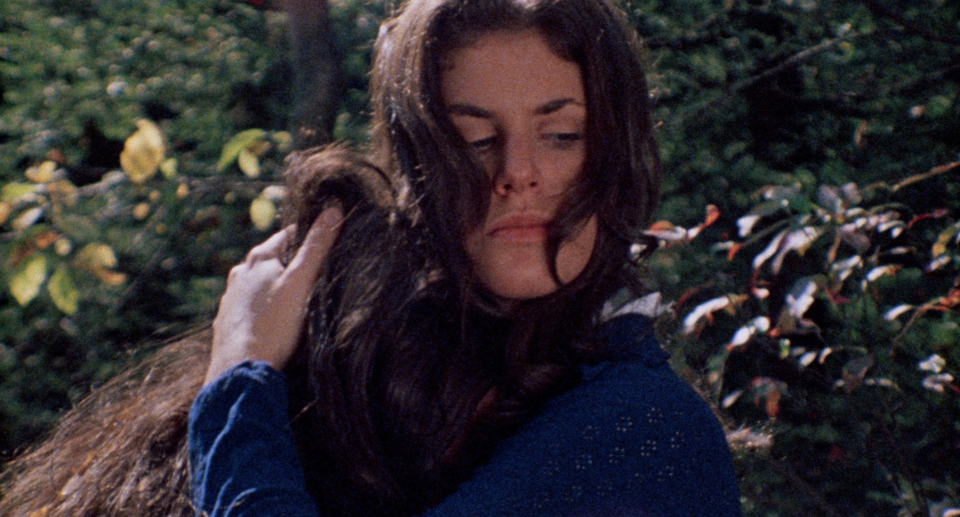 The Last House on the Left (1972) —  shot,  lighting