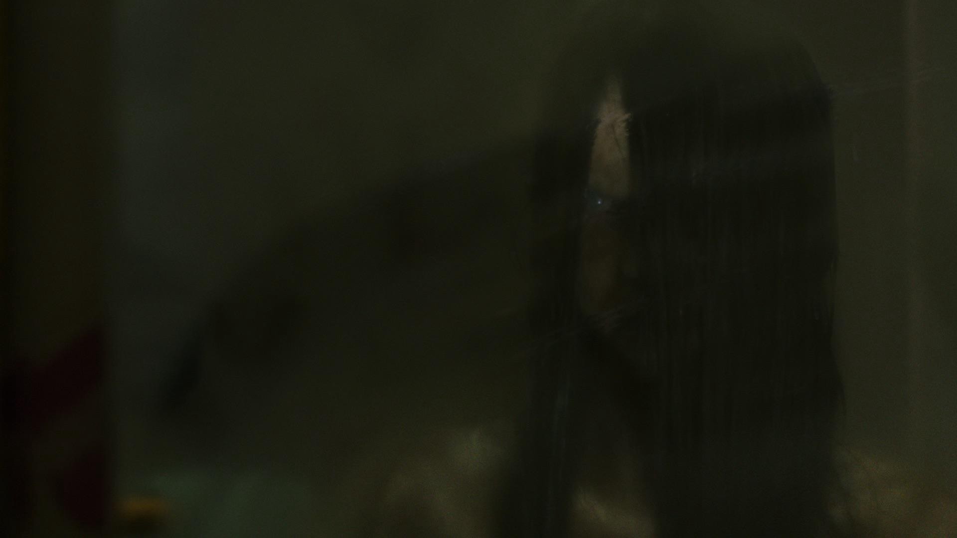 Rings (2017) —  shot,  lighting