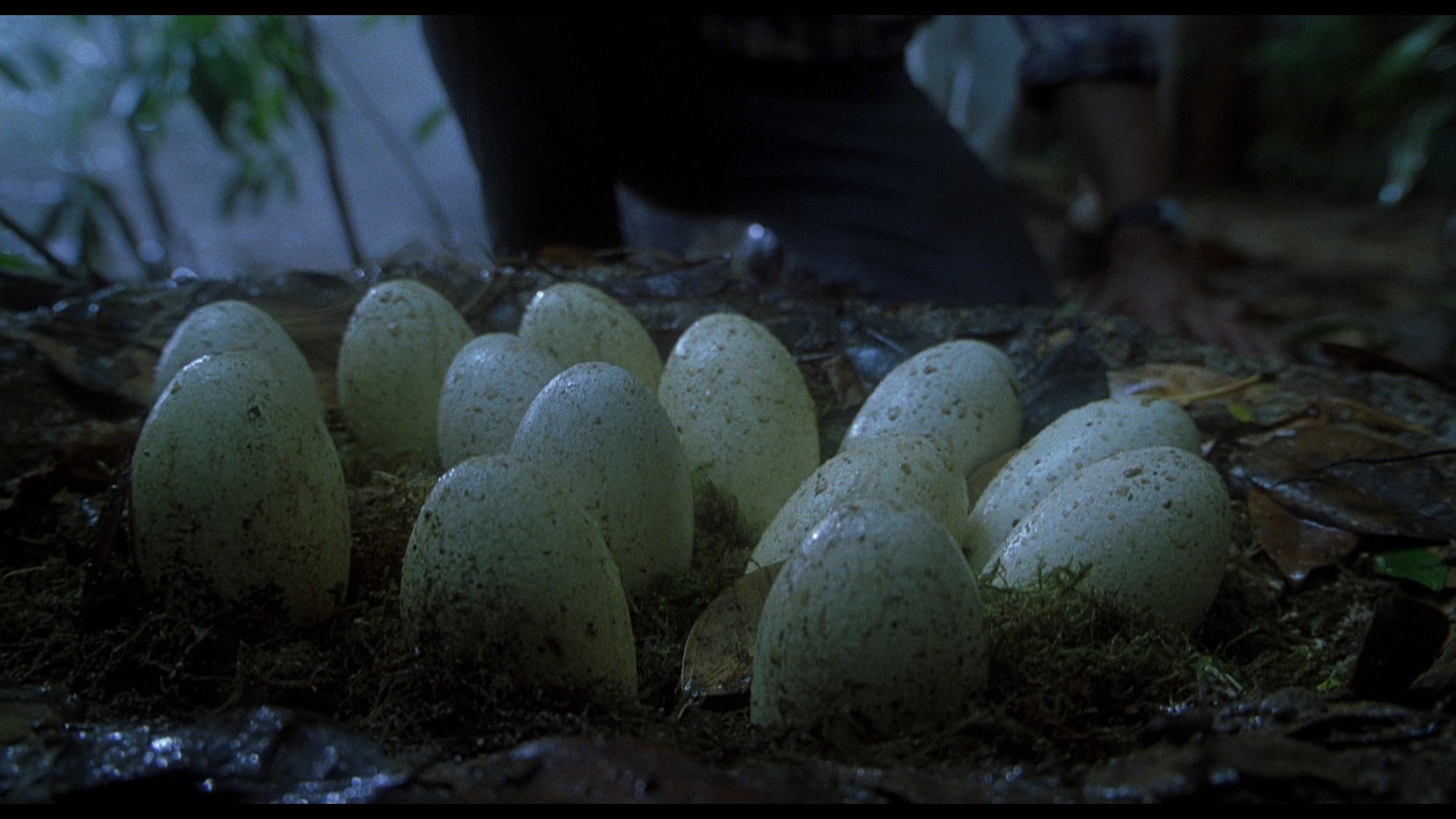 Jurassic Park III (2001) —  shot,  lighting