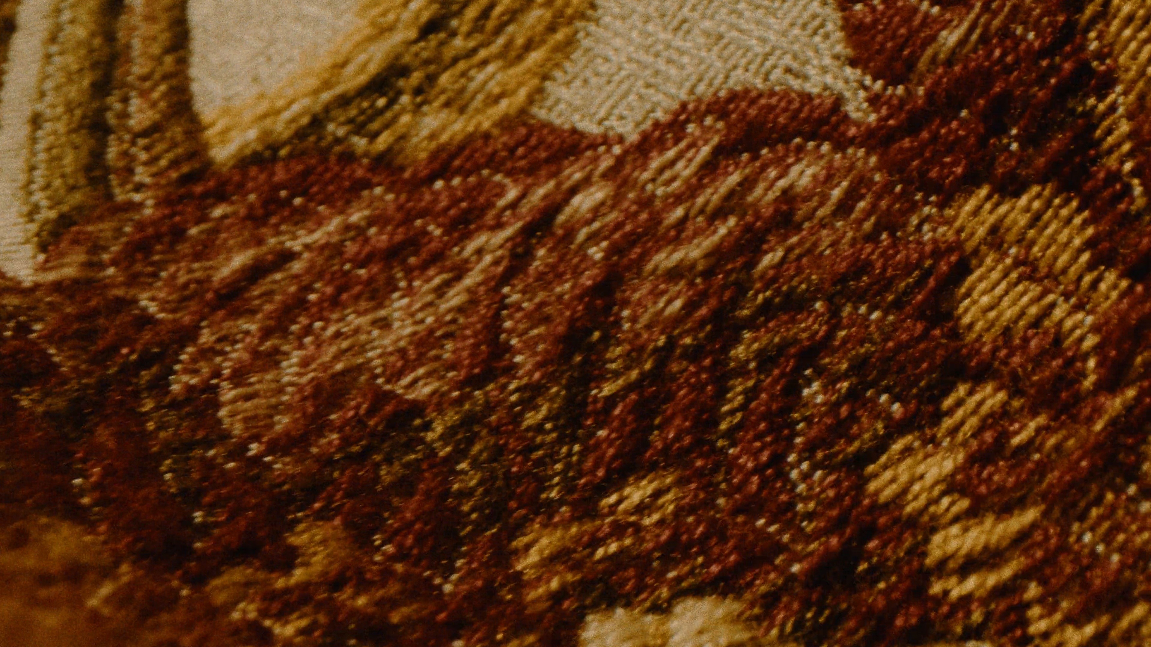 duality (2024) —  shot,  lighting