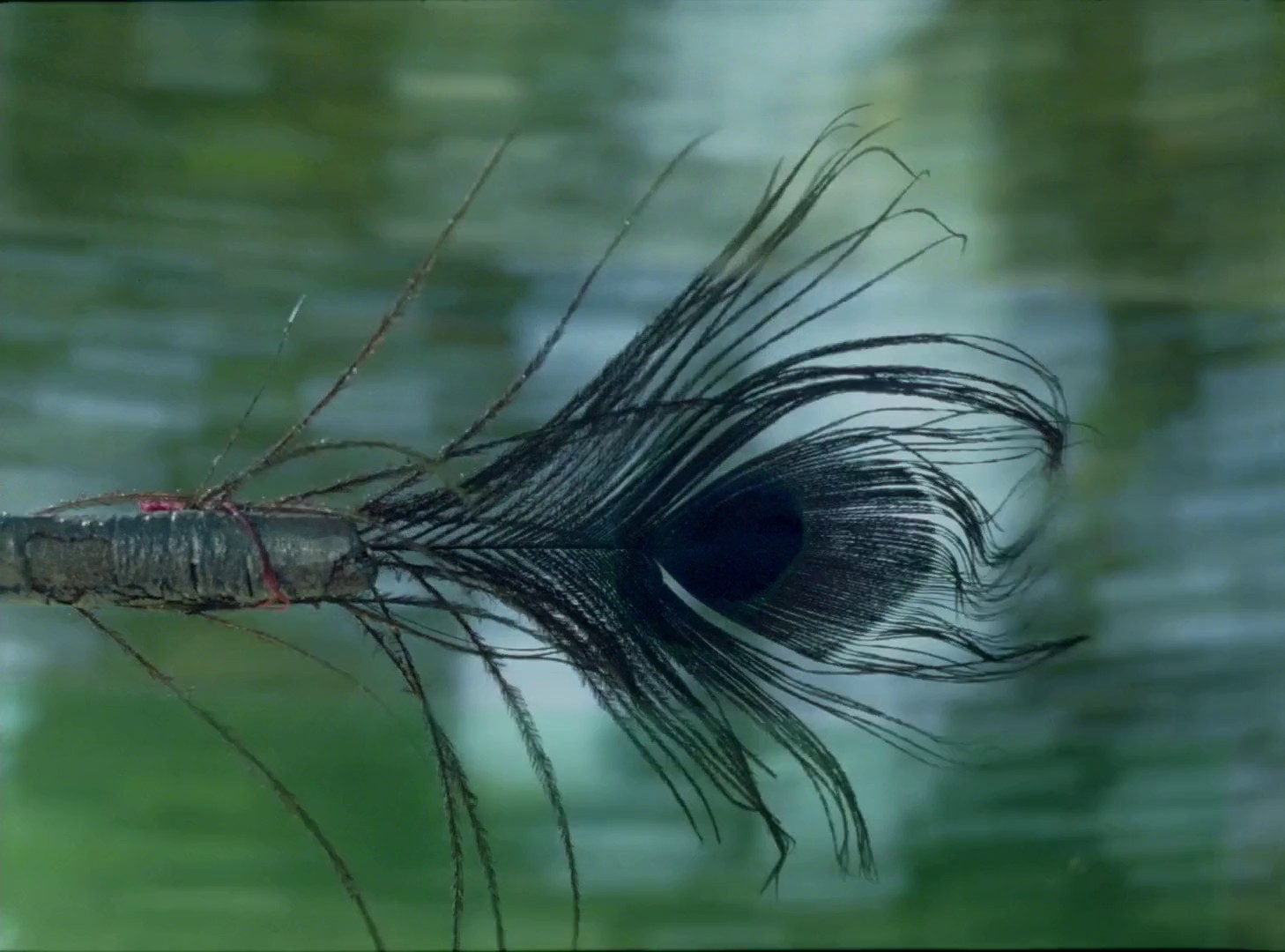 Y a-t-il une vierge encore vivante? (2015) —  shot,  lighting