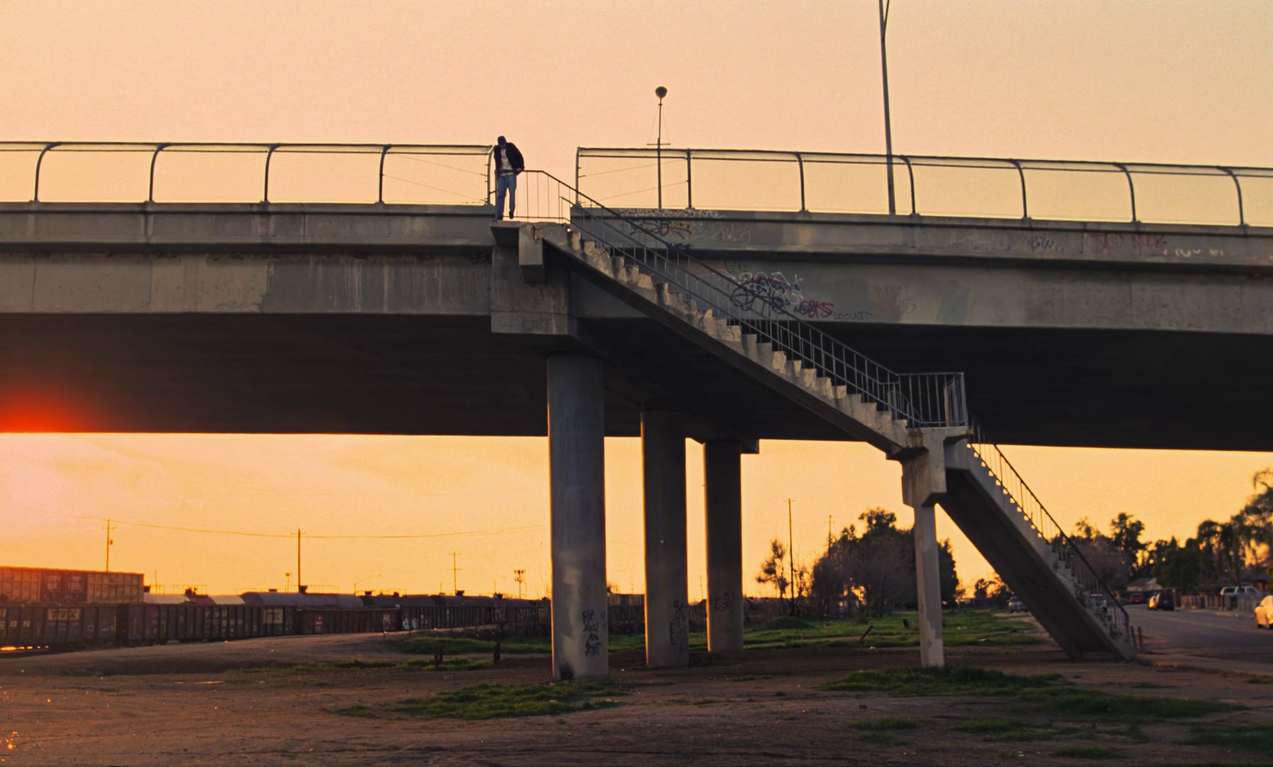 Regrow (2019) —  shot,  lighting