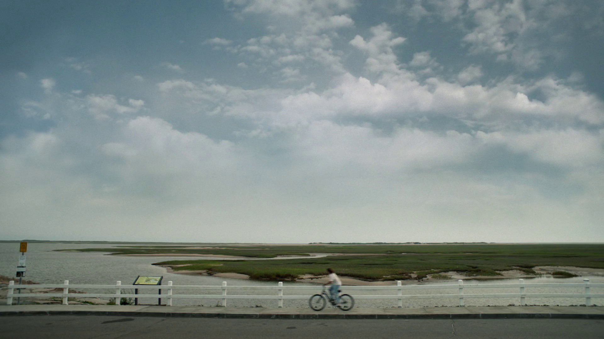 Rebellion Dogs (2020) —  shot,  lighting