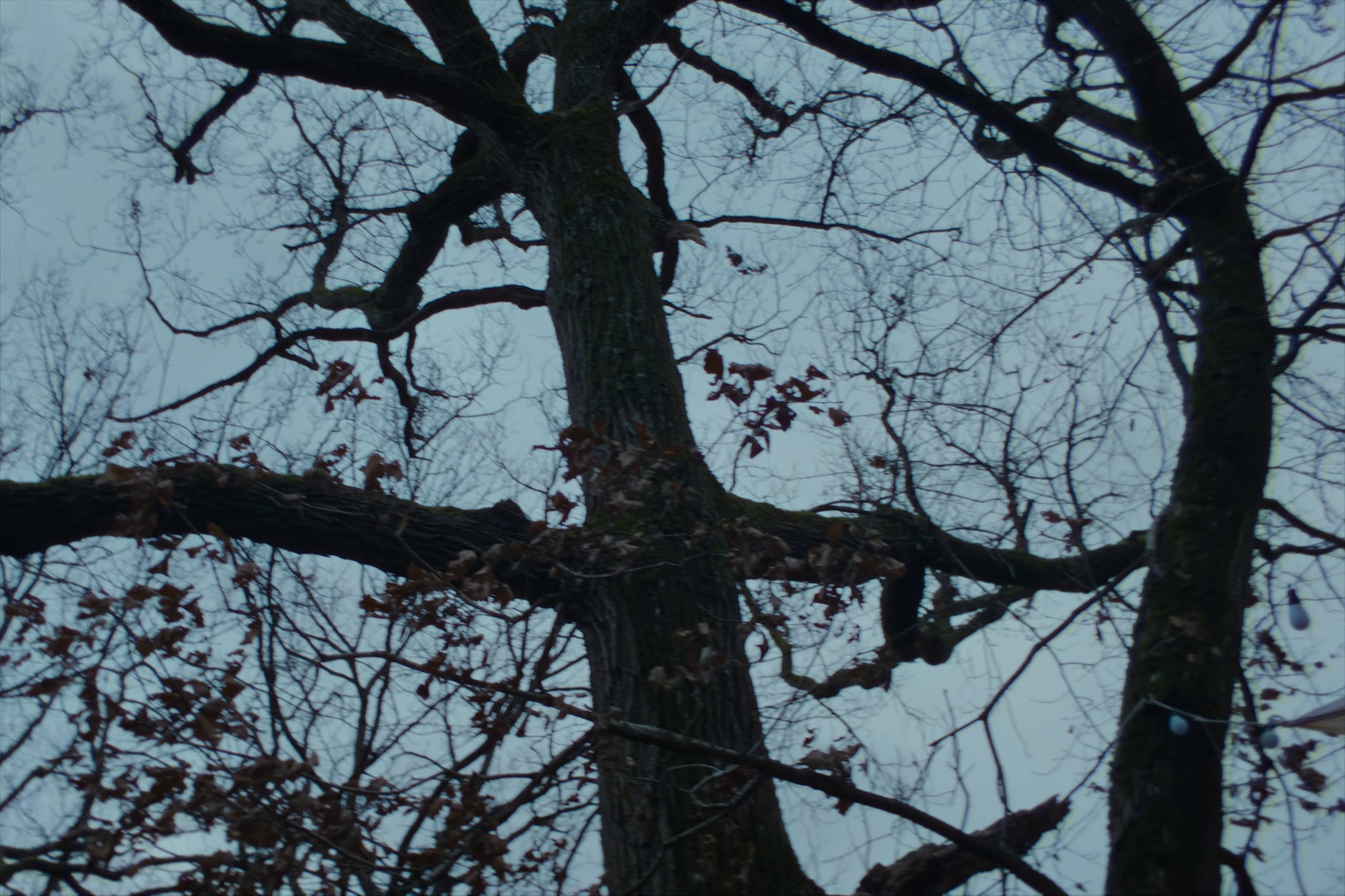 Feel So Good Around U (2026) —  shot,  lighting