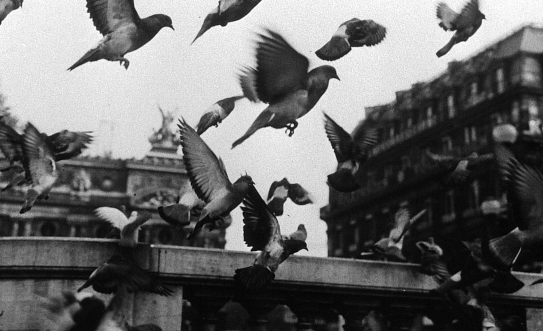 La Jetée (1962) —  shot,  lighting