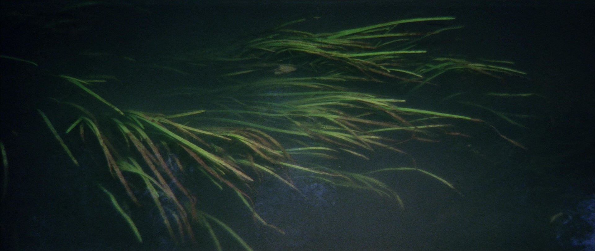 Solaris (1972) —  shot,  lighting