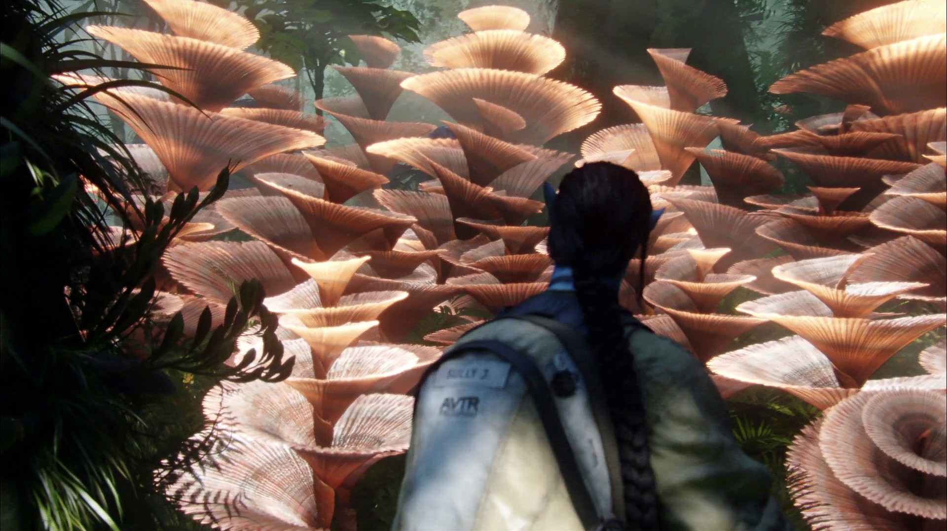 Avatar (2009) —  shot,  lighting