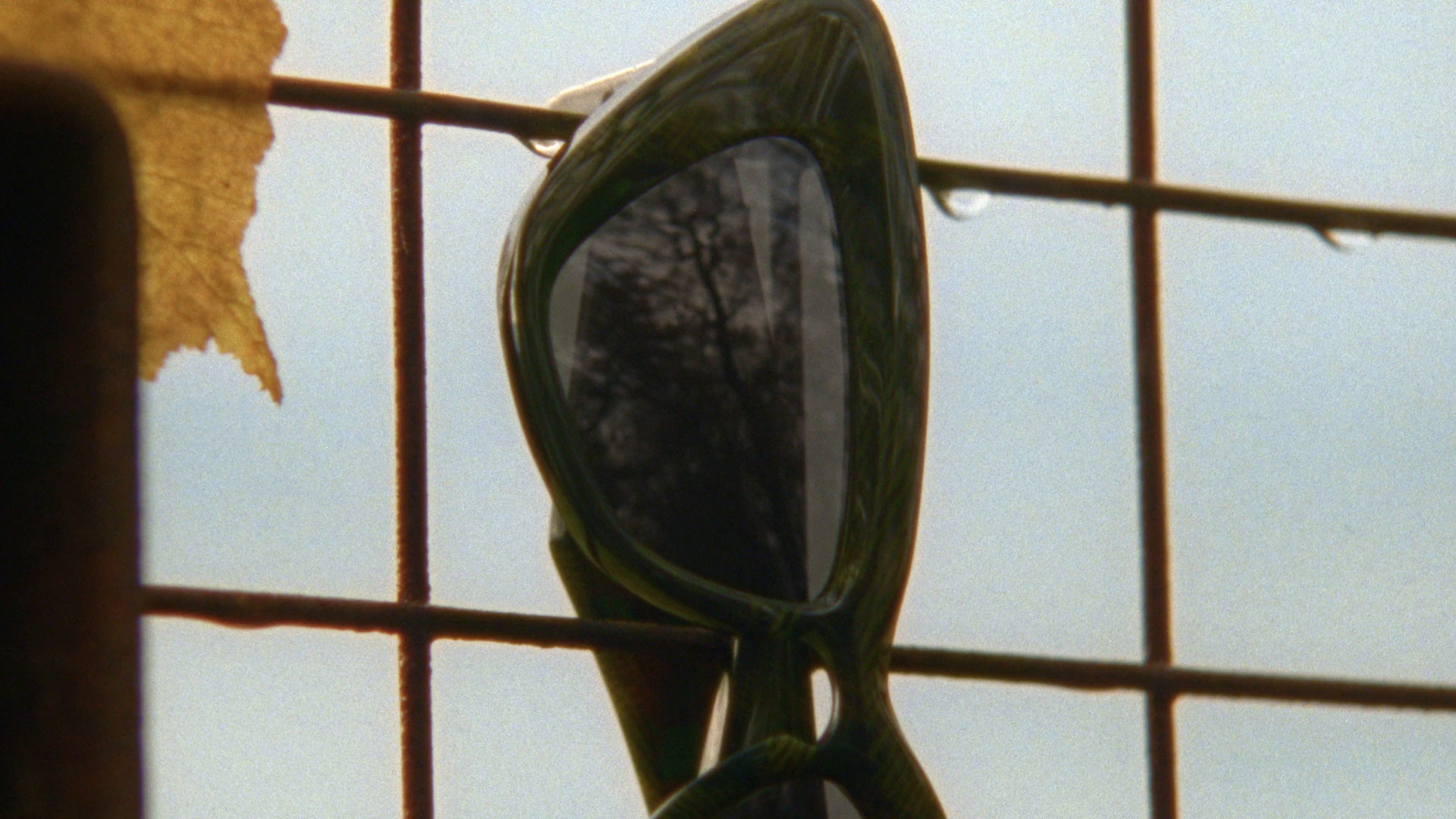 BURBERRY I HARRODS Knight Blue 024 (2024) —  shot,  lighting