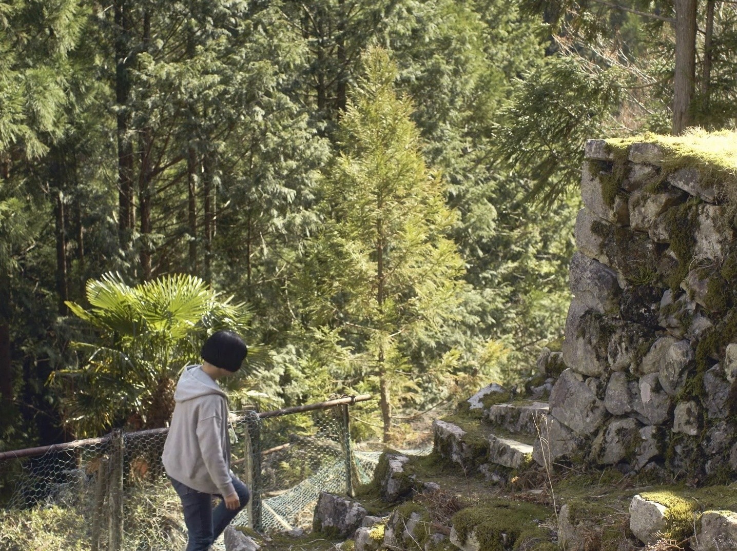 Beyond the Fog (2023) —  shot,  lighting