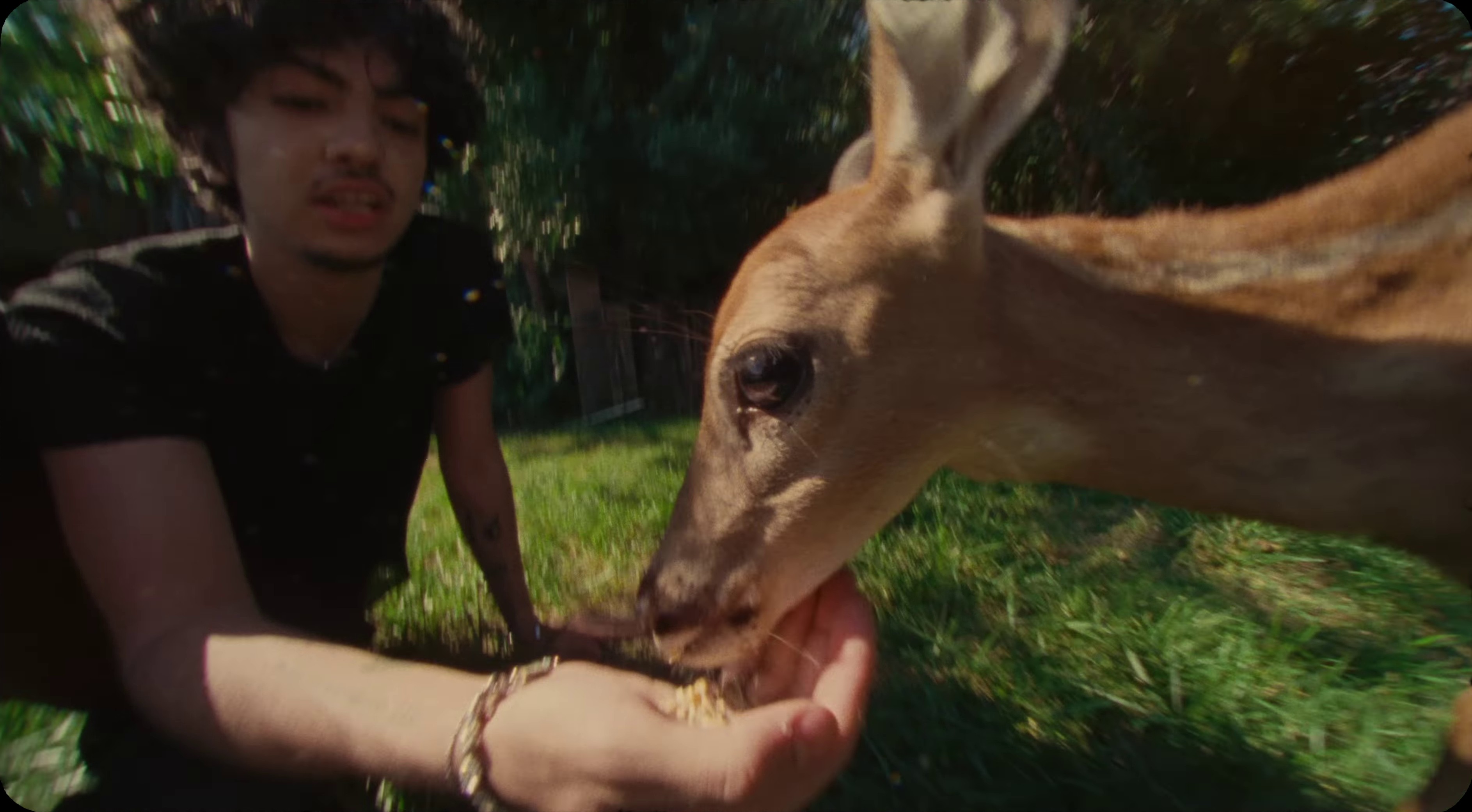 kickstand (2023) —  shot,  lighting