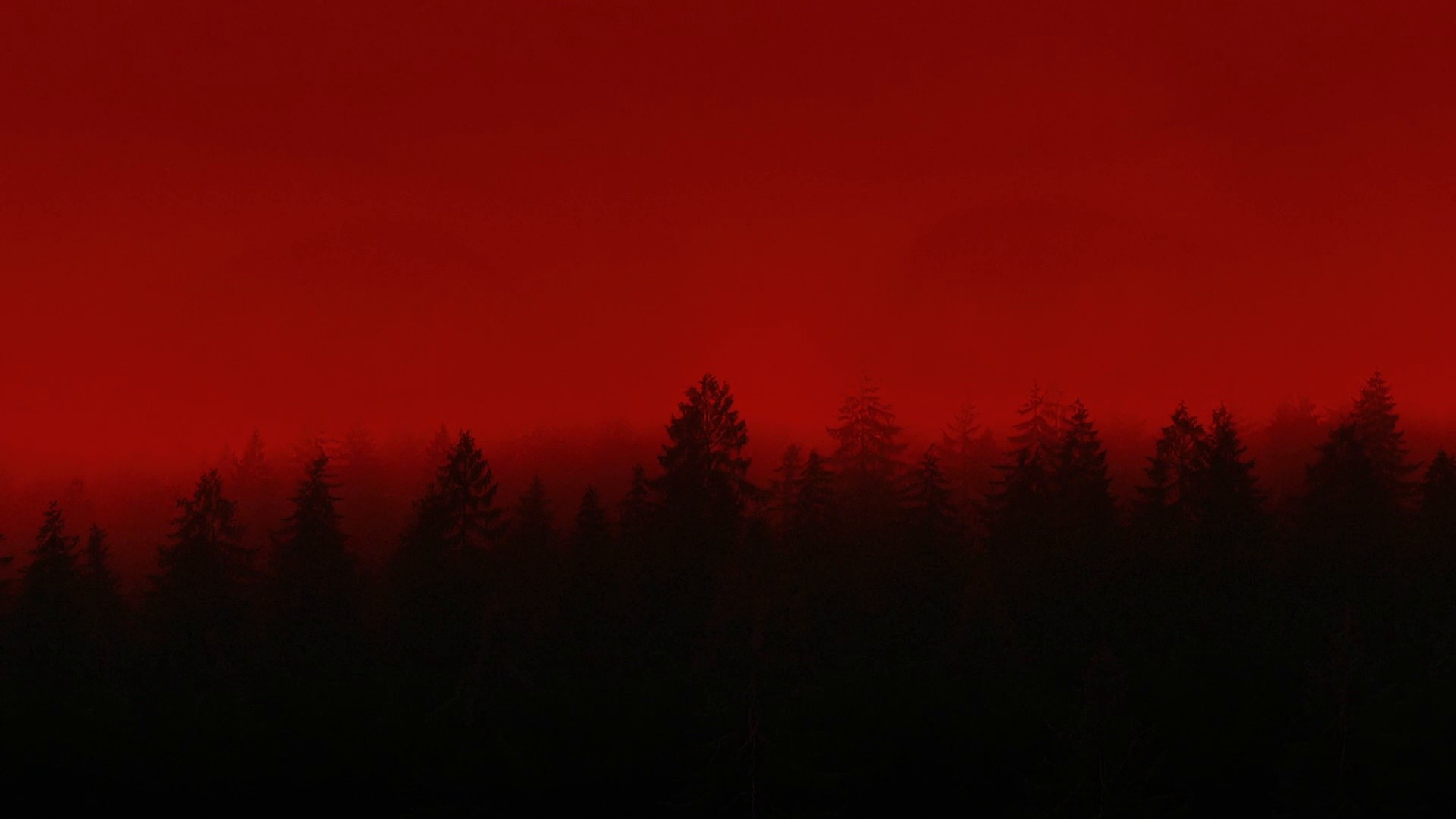 JAPANESE (2025) —  shot,  lighting