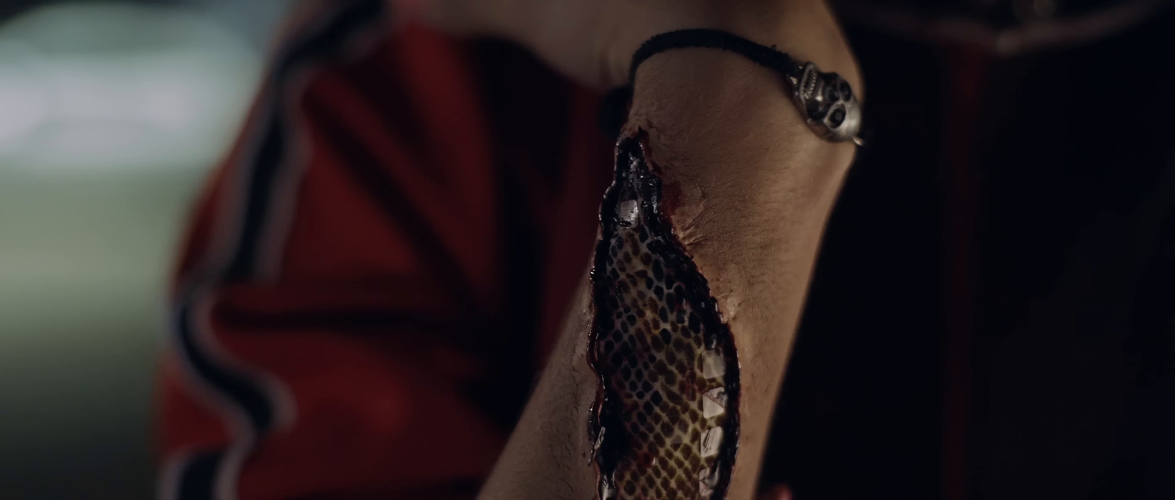 ANIMAL (2020) —  shot,  lighting