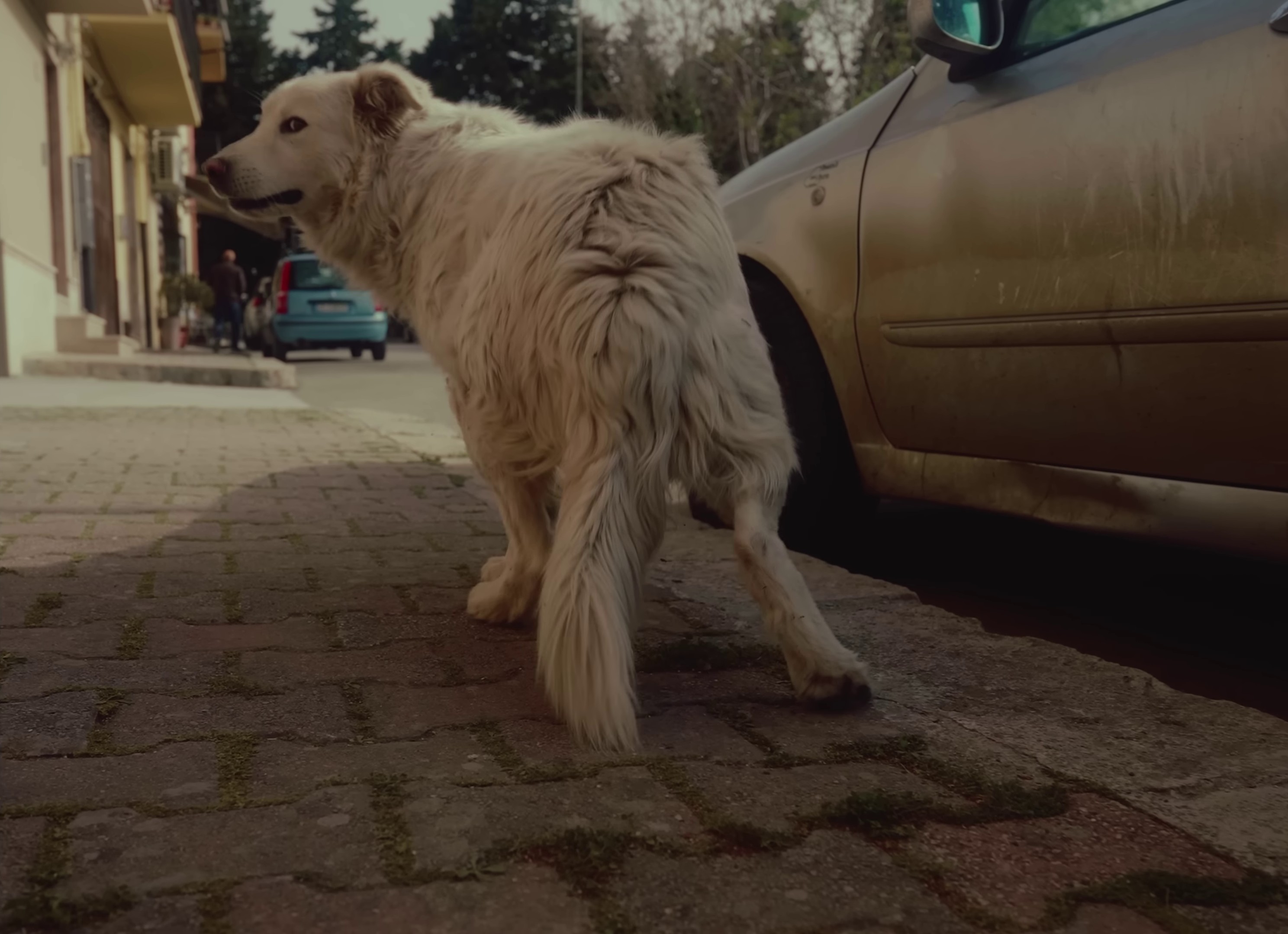 Time Bomb  (2022) —  shot,  lighting