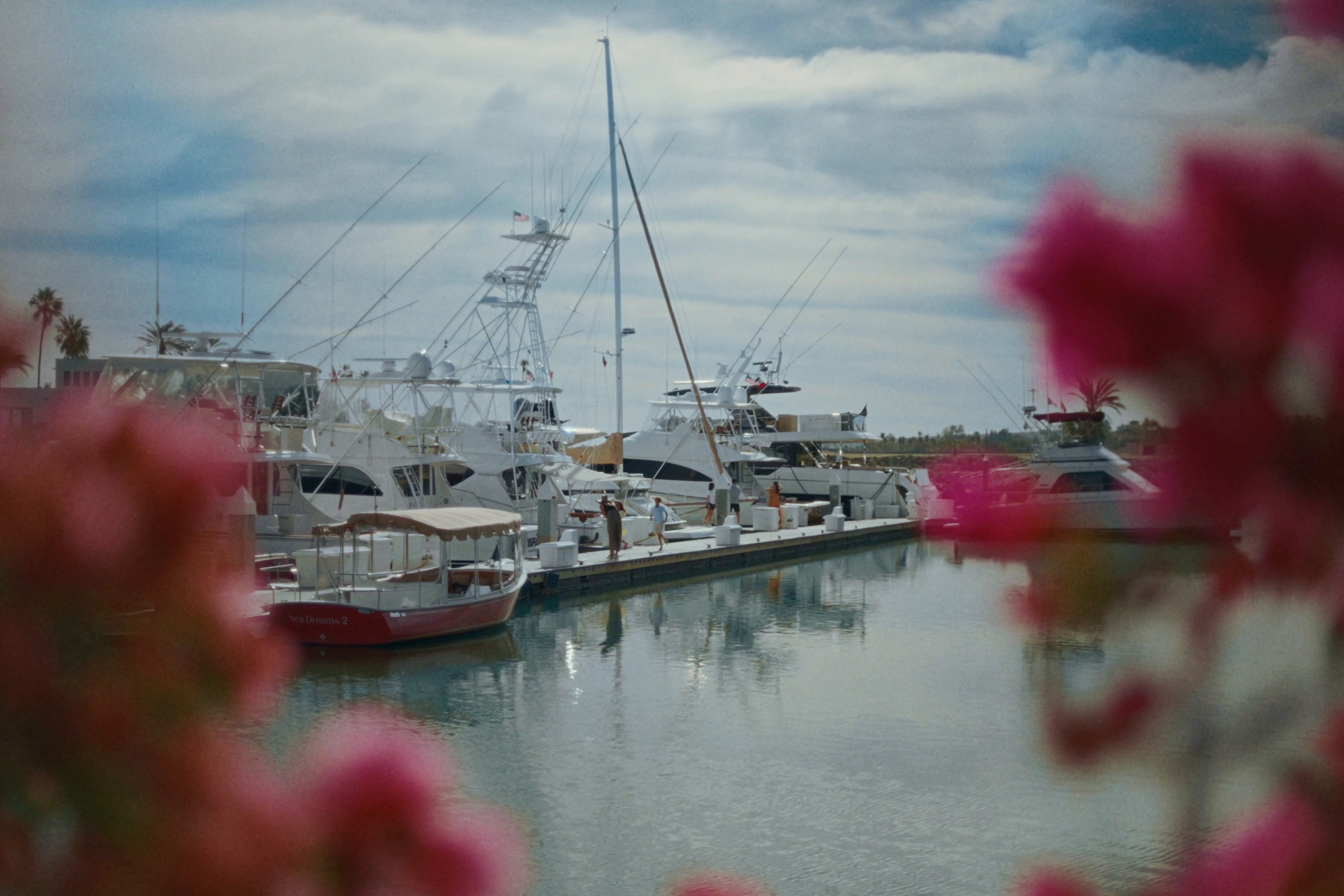 Costa Palmas (2024) —  shot,  lighting