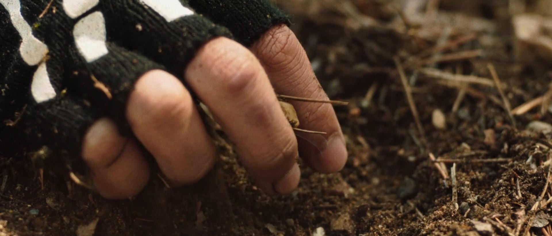 Berry Pickers (2022) —  shot,  lighting