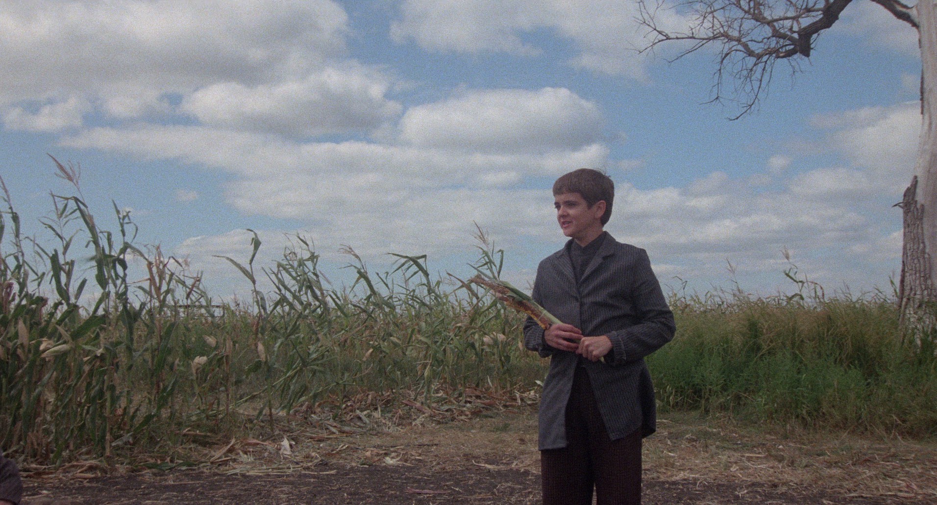 Children of the Corn (1984) —  shot,  lighting