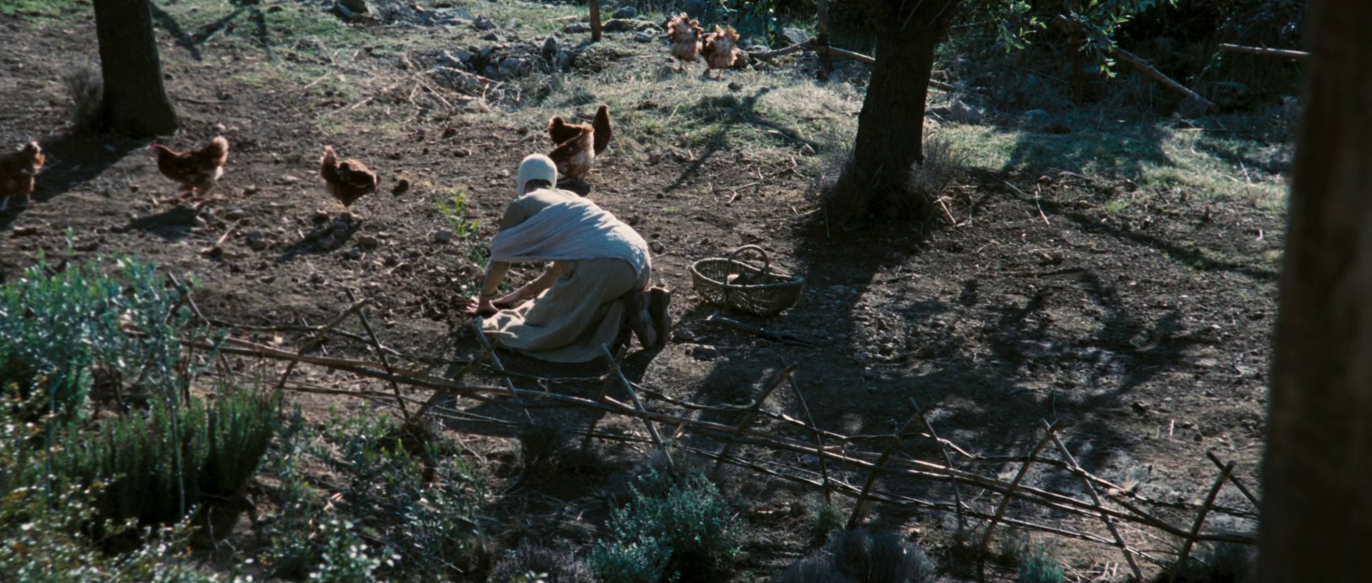 Kingdom of Heaven (2005) —  shot,  lighting