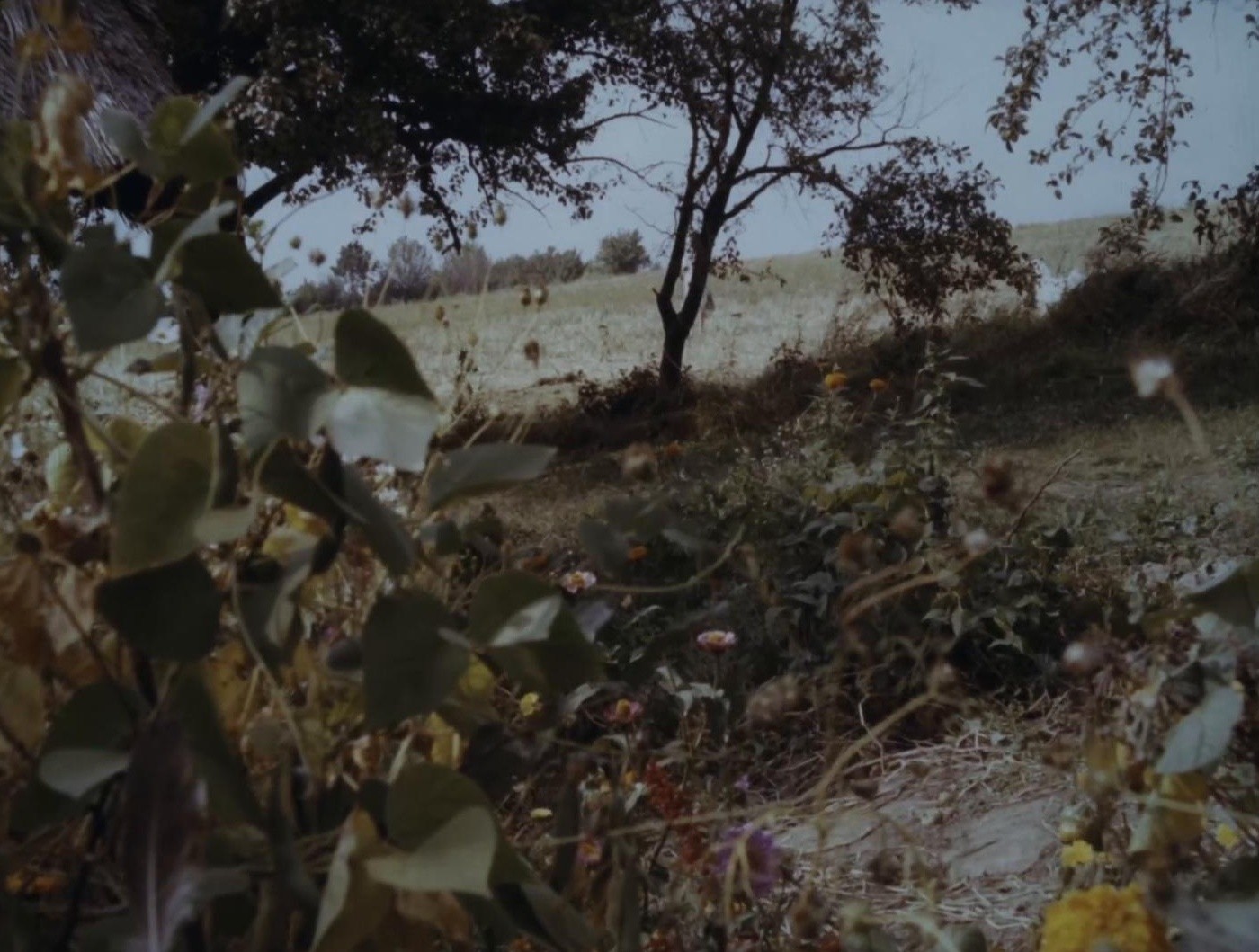 Fuchzhou (1993) —  shot,  lighting