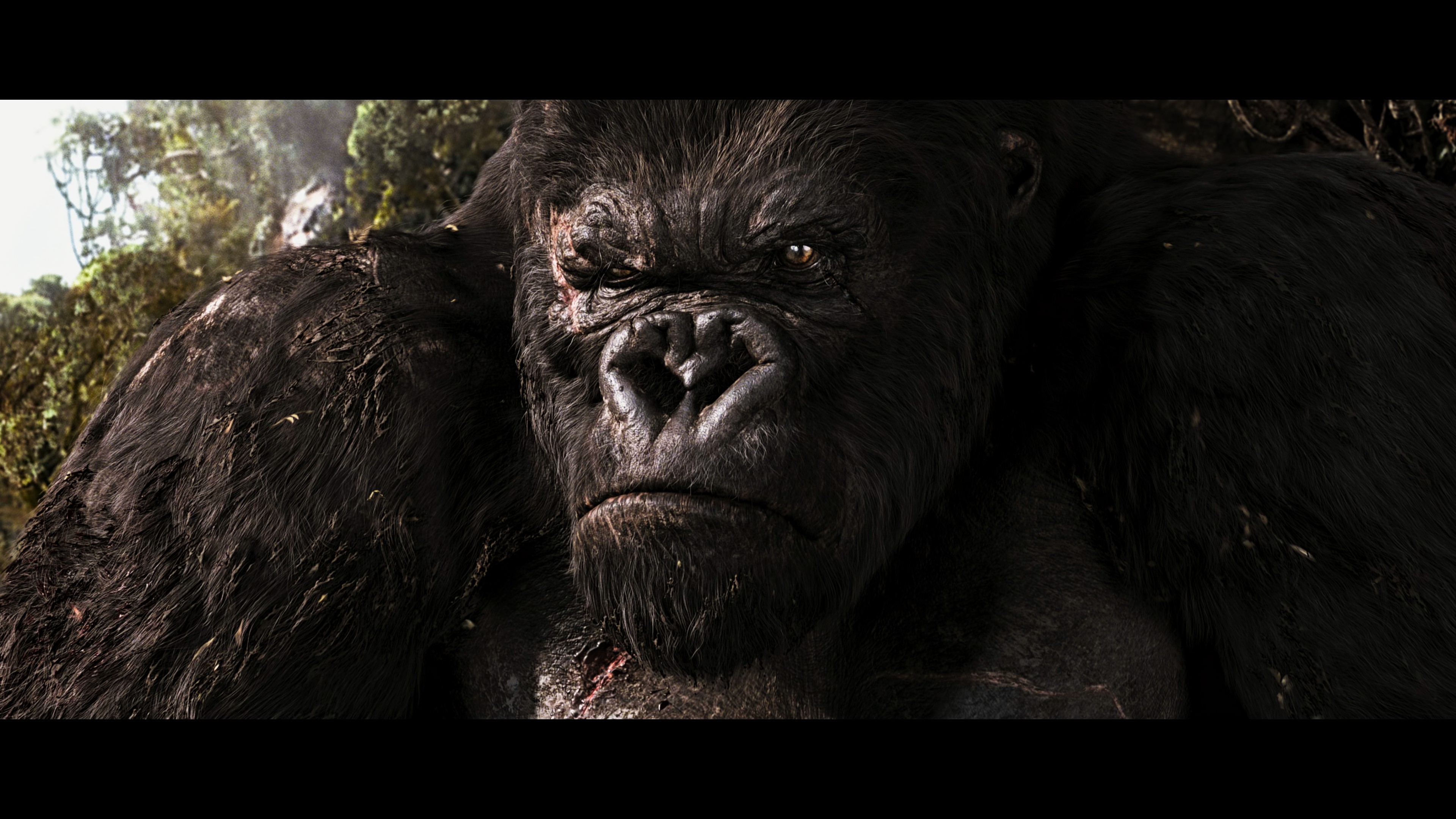 King Kong (2005) —  shot,  lighting