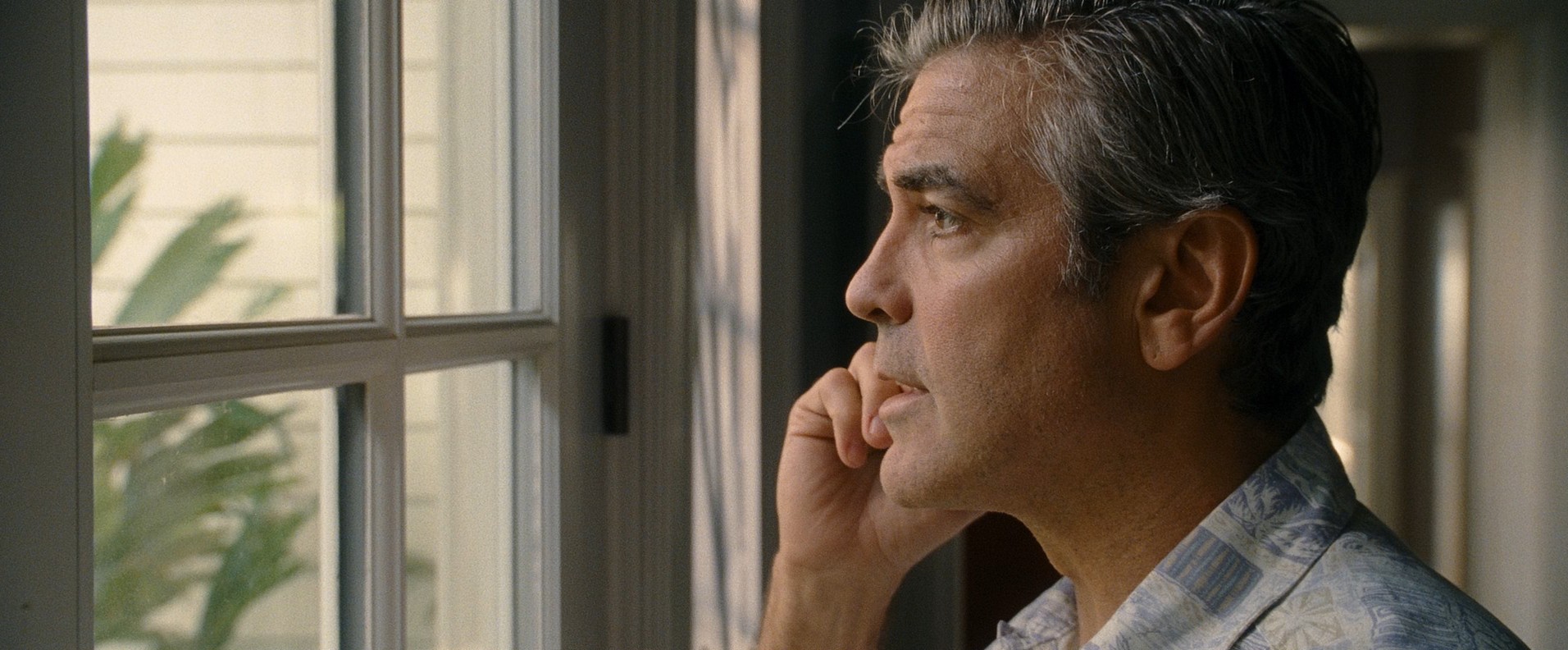 The Descendants (2011) —  shot,  lighting