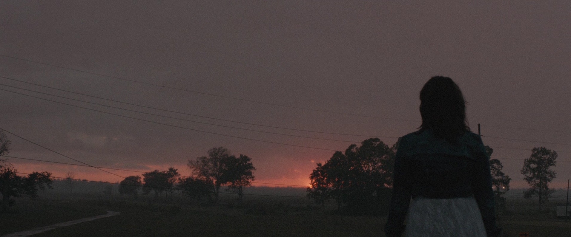 Maggie (2015) —  shot,  lighting