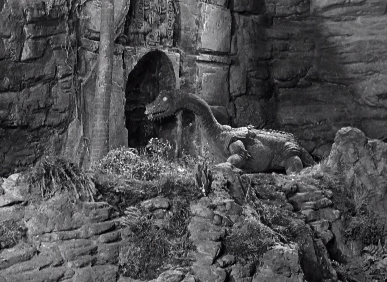 Son of Kong (1933) —  shot,  lighting