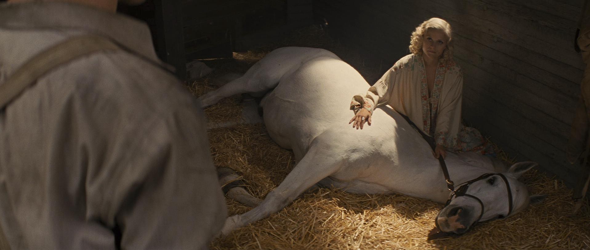 Water for Elephants (2011) —  shot,  lighting