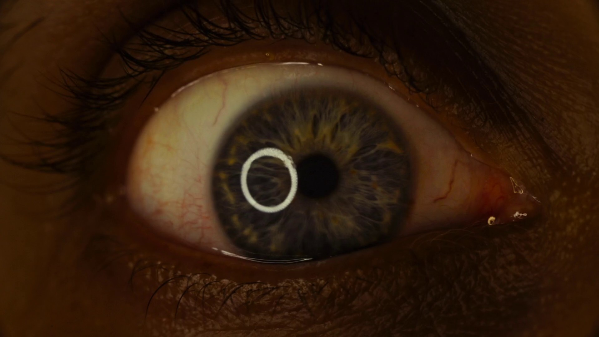 Possessor (2020) —  shot,  lighting