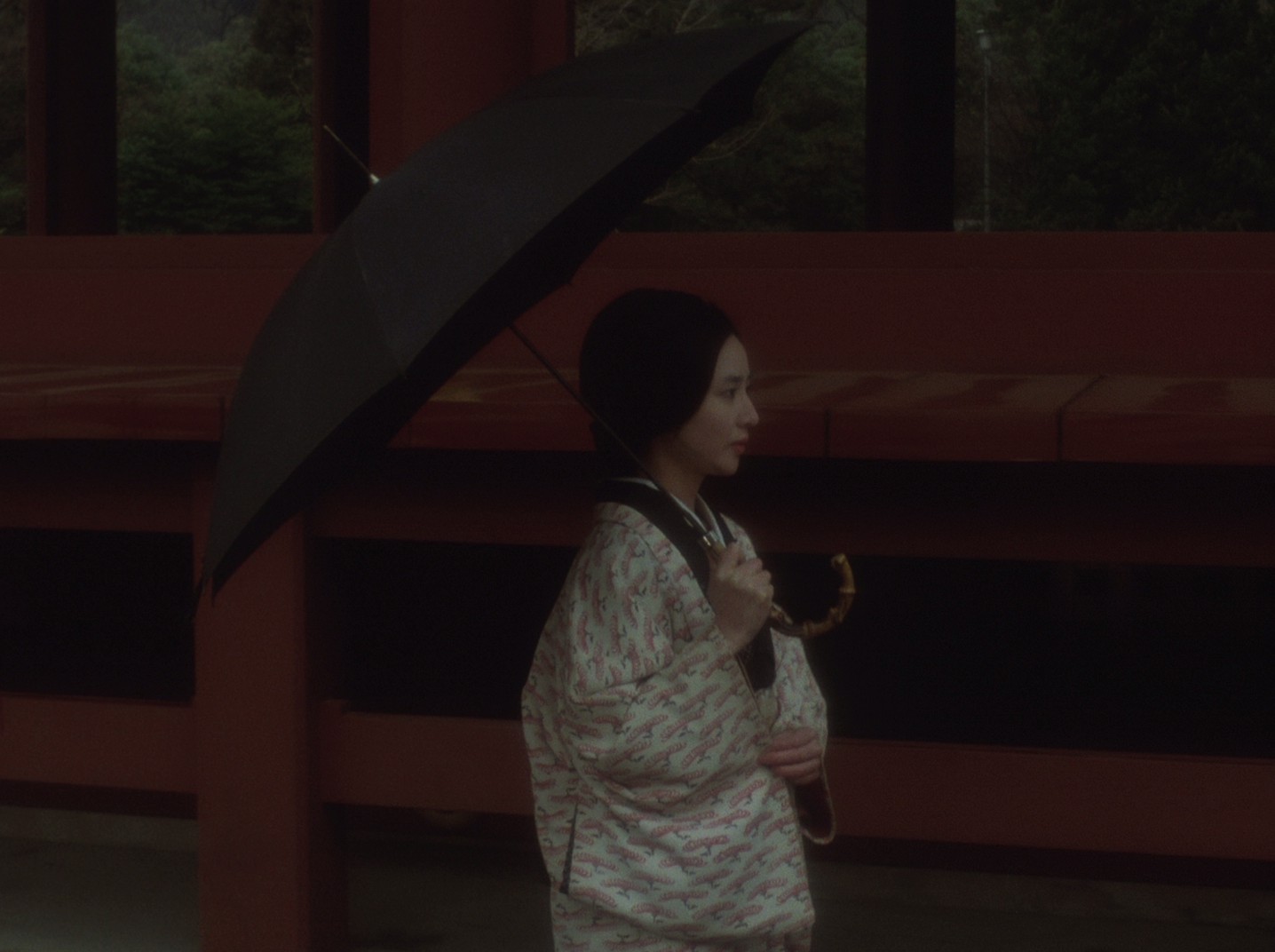 Zigeunerweisen (1980) —  shot,  lighting