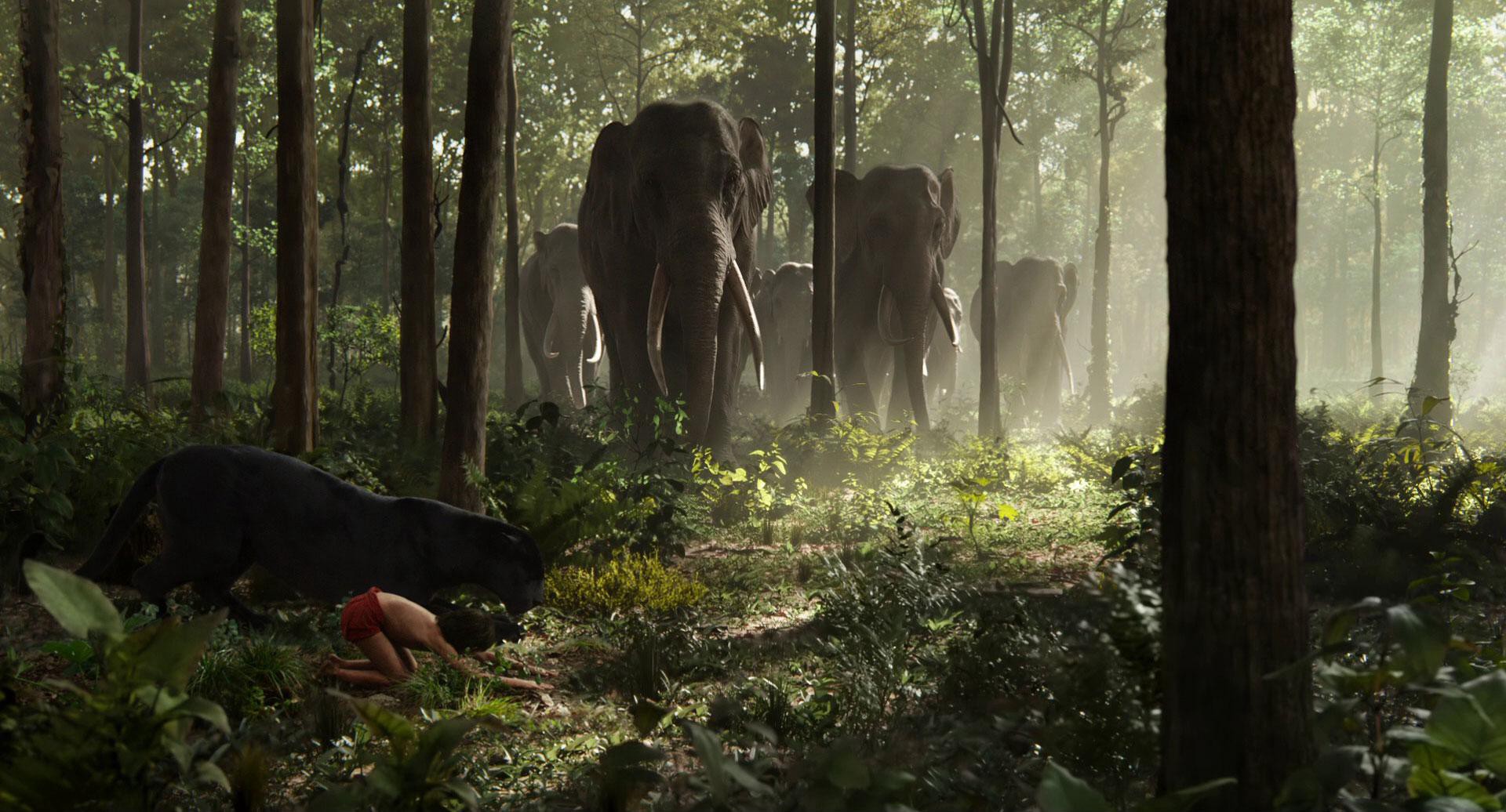 The Jungle Book (2016) —  shot,  lighting