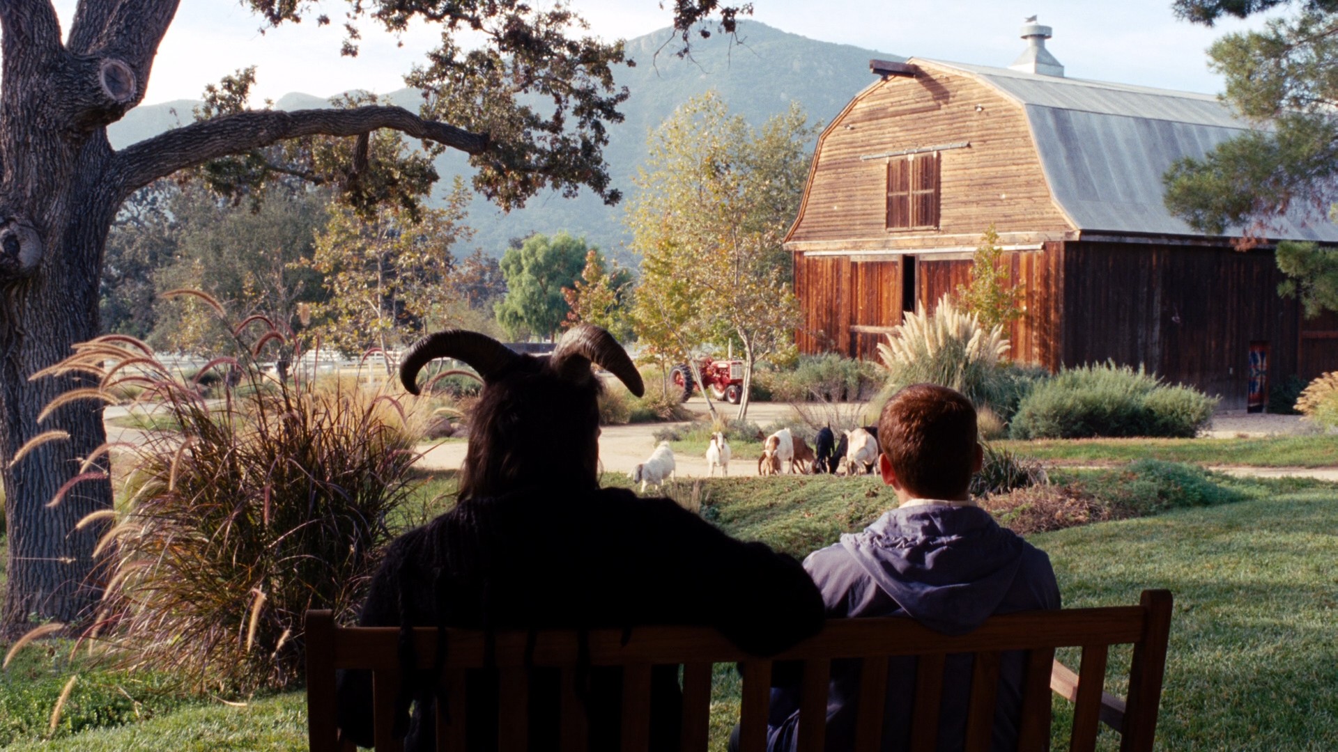 Dinner for Schmucks (2010) —  shot,  lighting