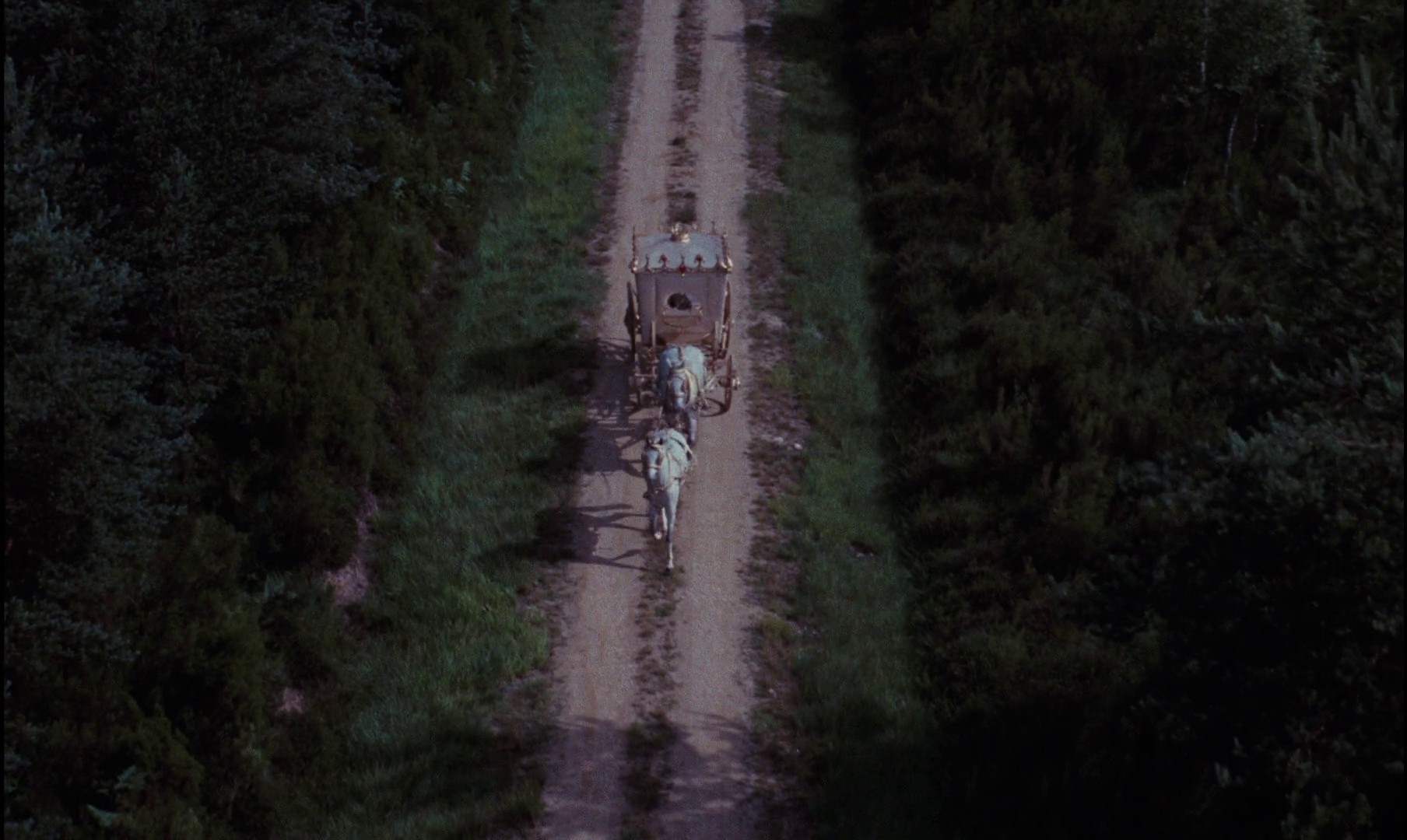 Donkey Skin (1970) —  shot,  lighting