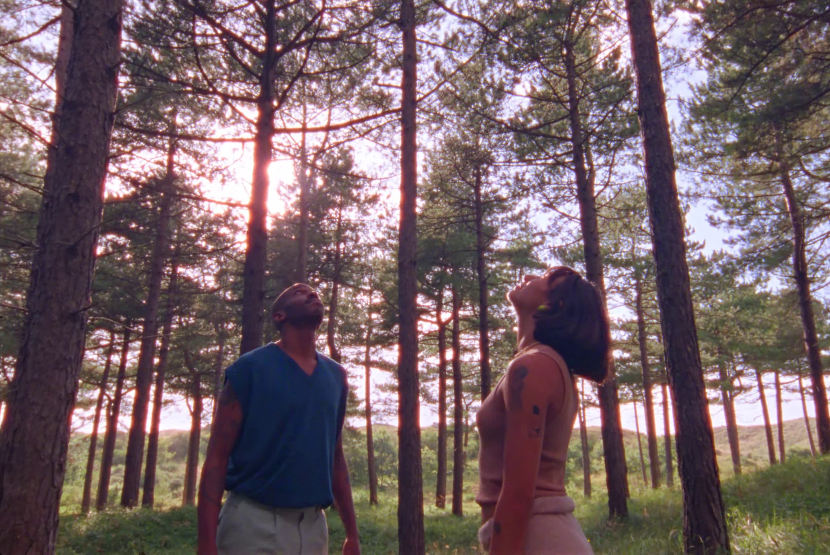 zegeltje (2021) —  shot,  lighting