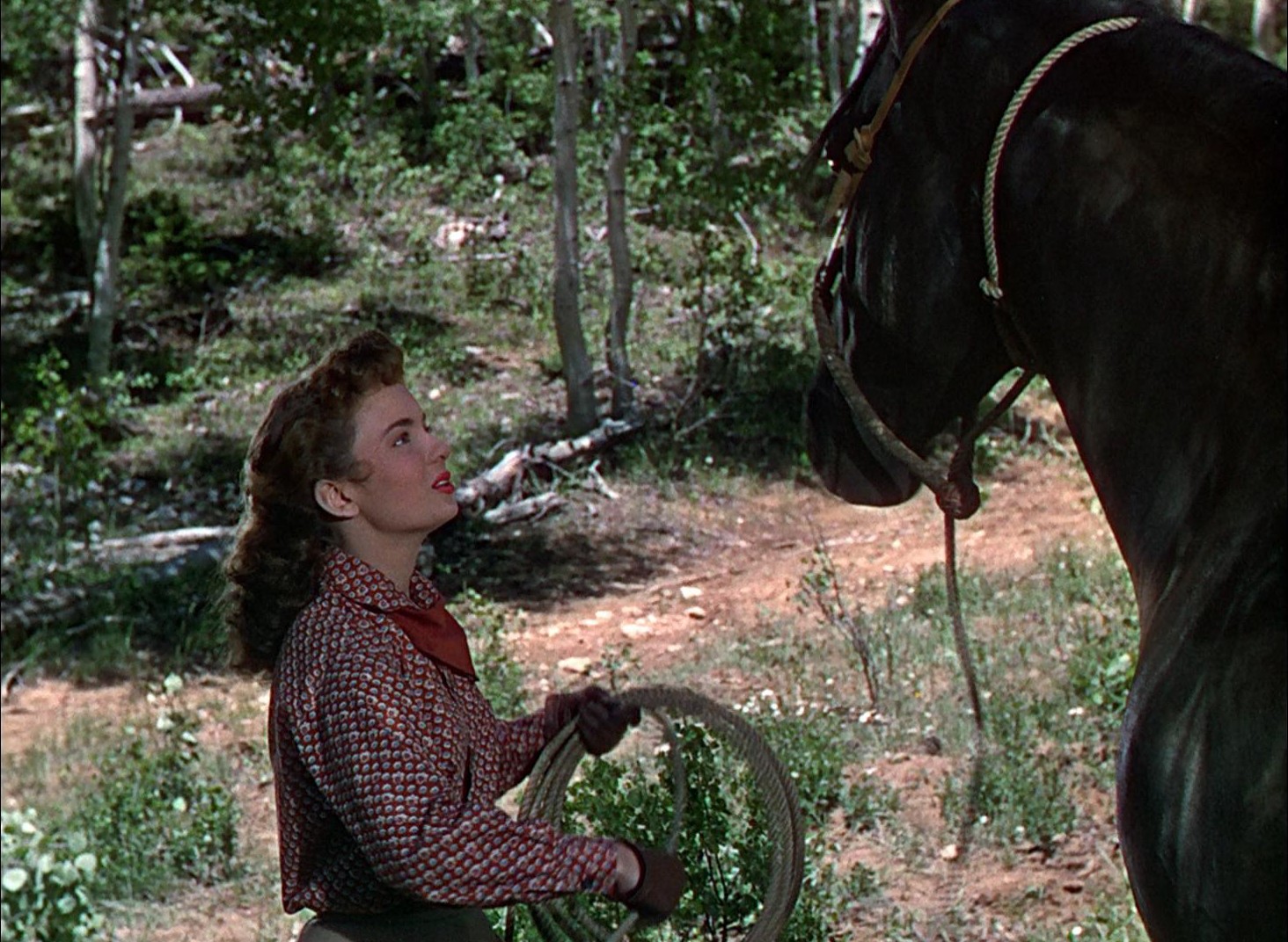Red Canyon (1949) —  shot,  lighting