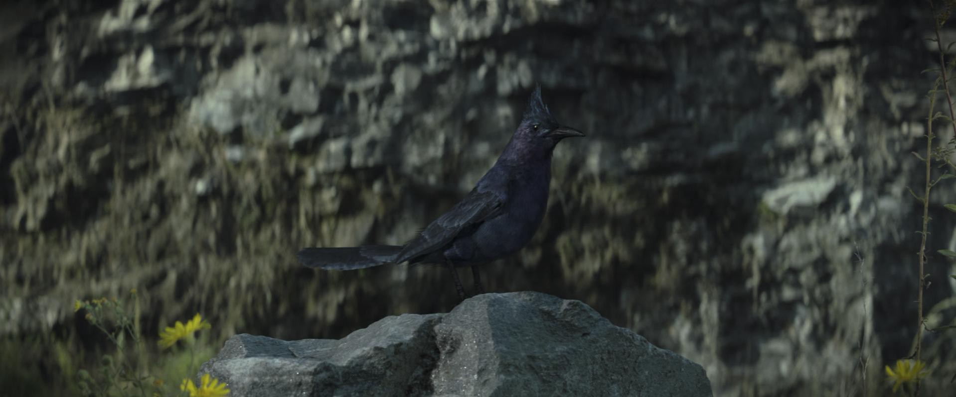 The Hunger Games: Mockingjay - Part 1 (2014) —  shot,  lighting