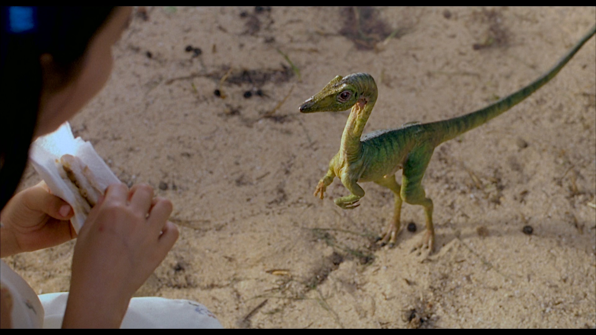 The Lost World: Jurassic Park (1997) —  shot,  lighting