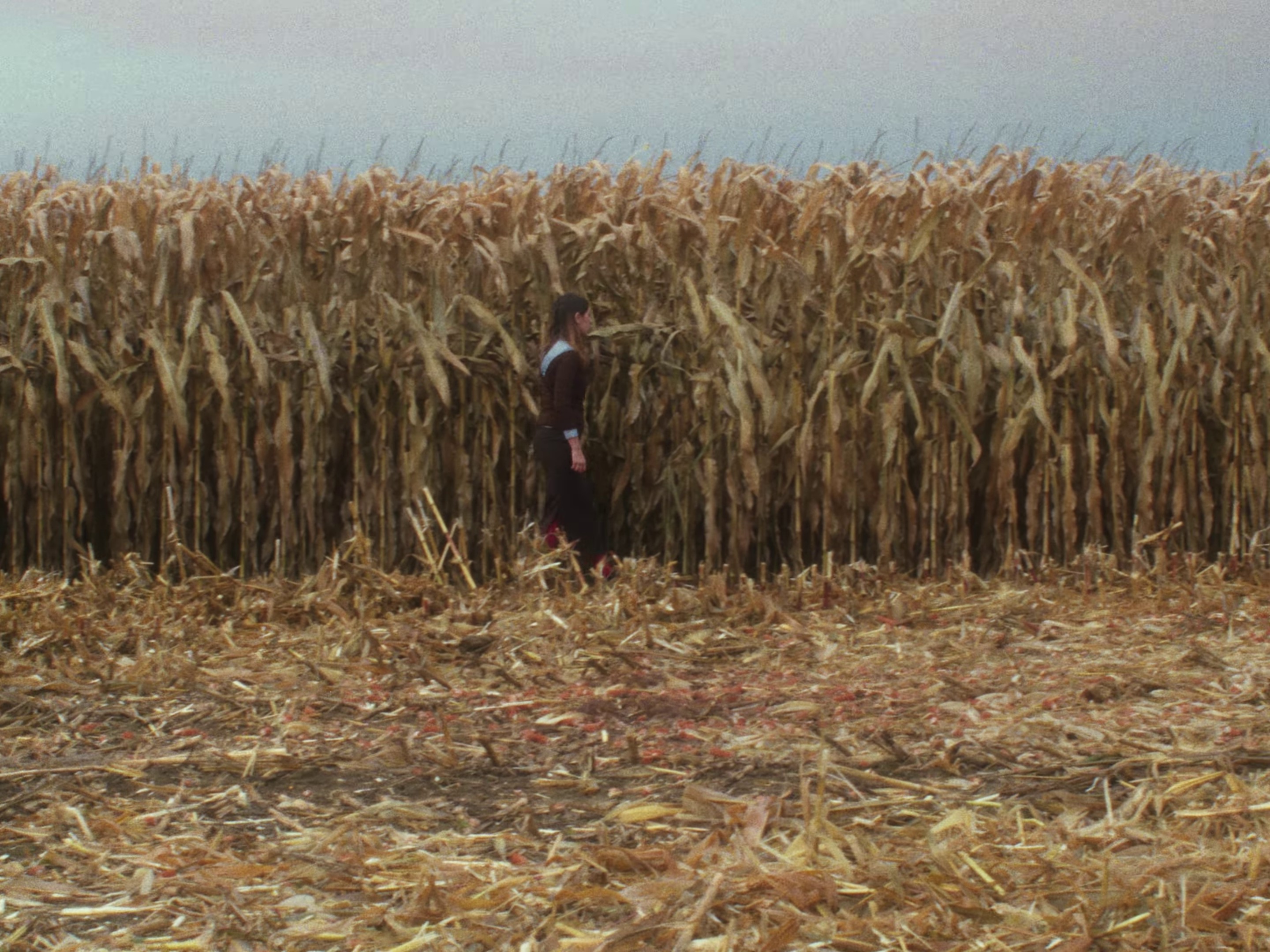 Será Mejor (2024) —  shot,  lighting