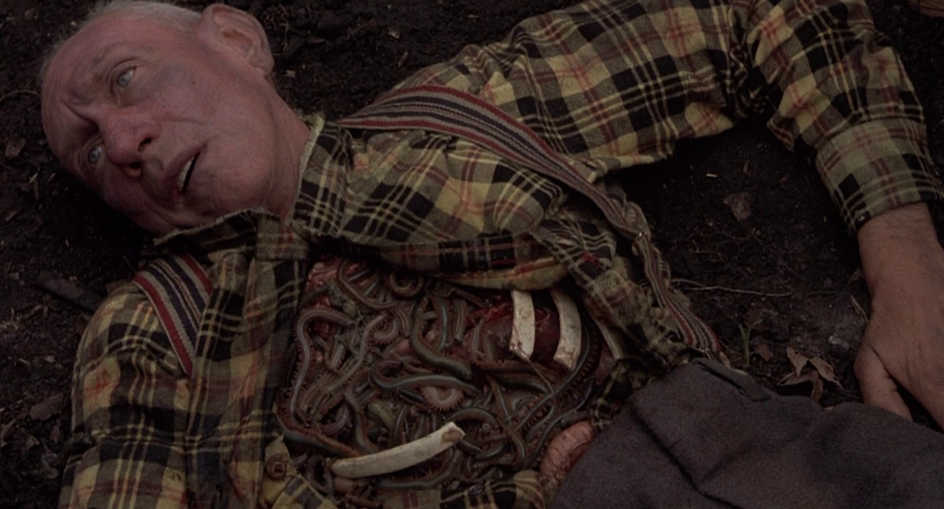 Squirm (1976) —  shot,  lighting