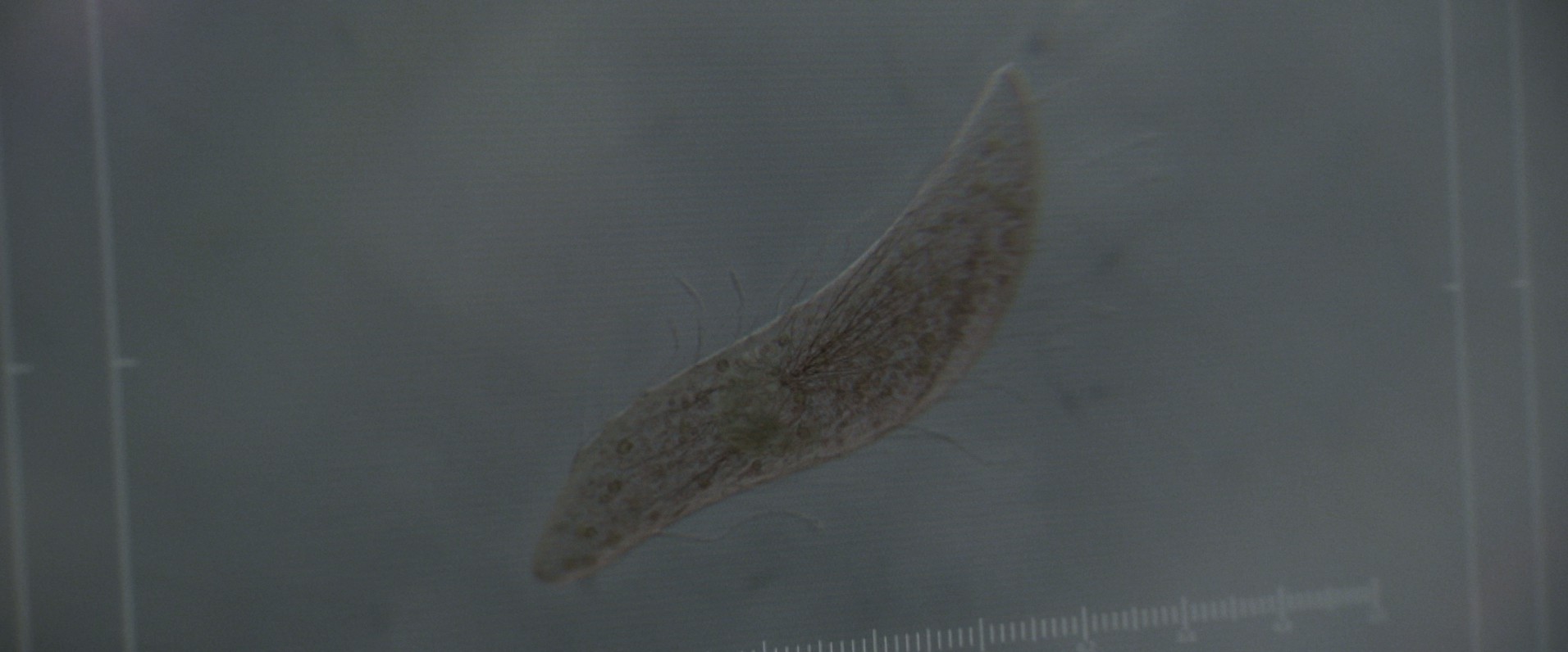 Life (2017) —  shot,  lighting