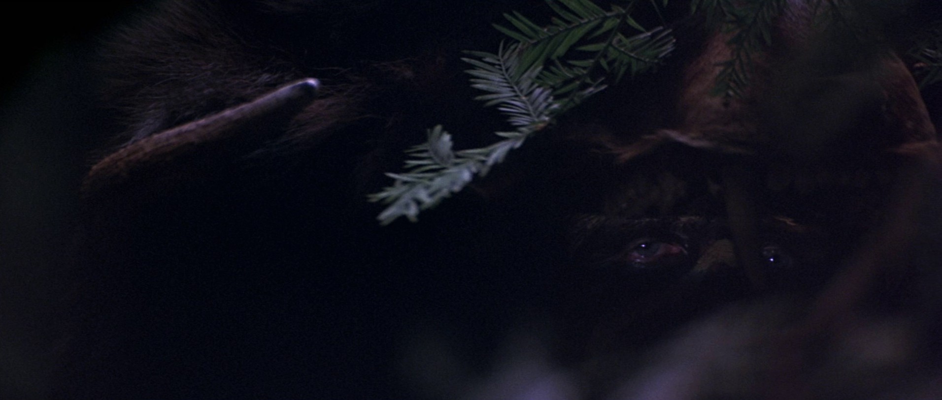 The 13th Warrior (1999) —  shot,  lighting