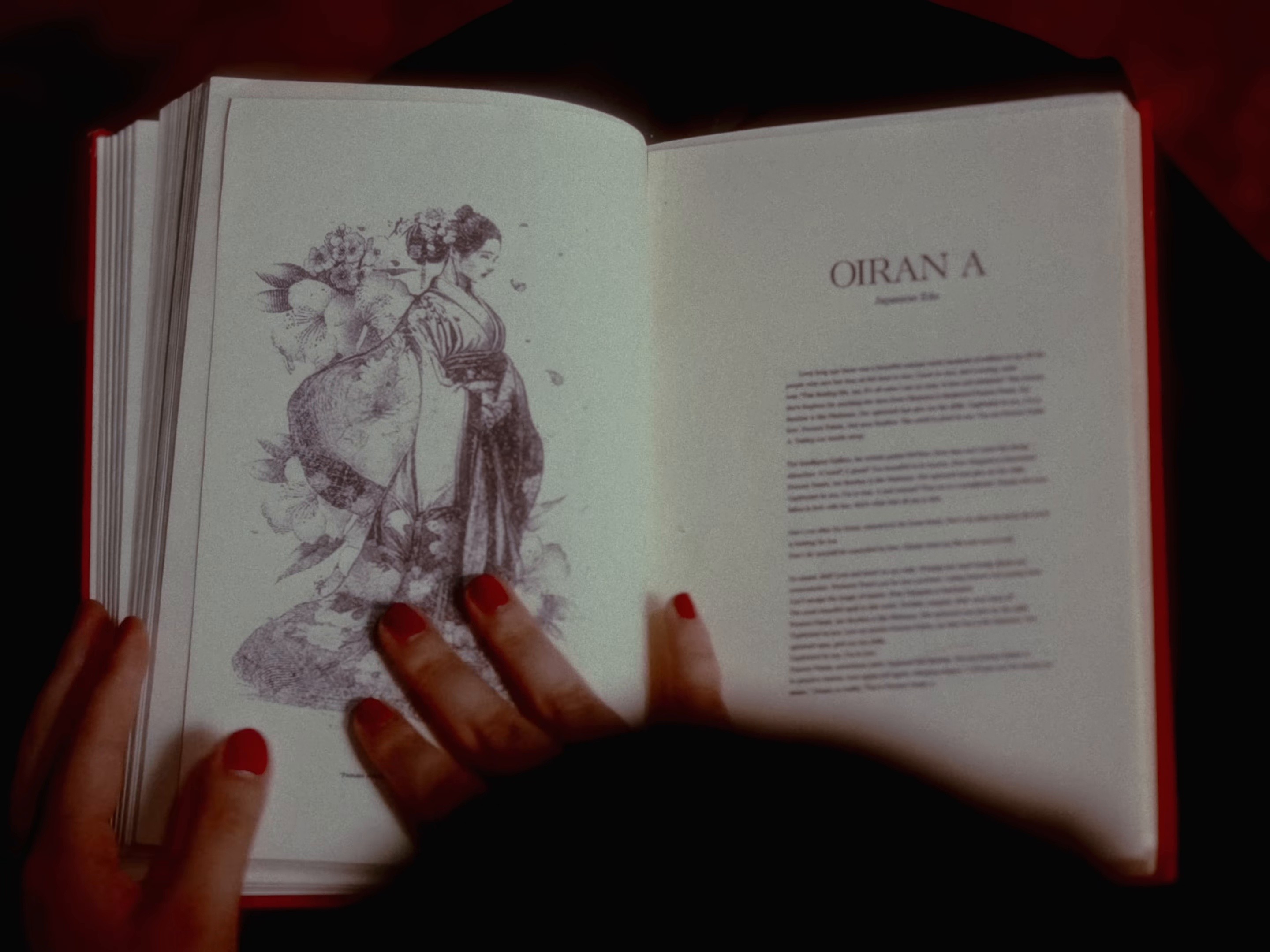 femme fatale (2024) —  shot,  lighting