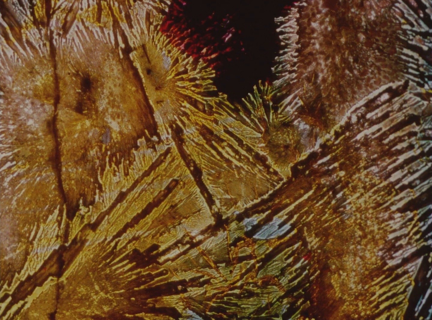 Footprints (1992) —  shot,  lighting