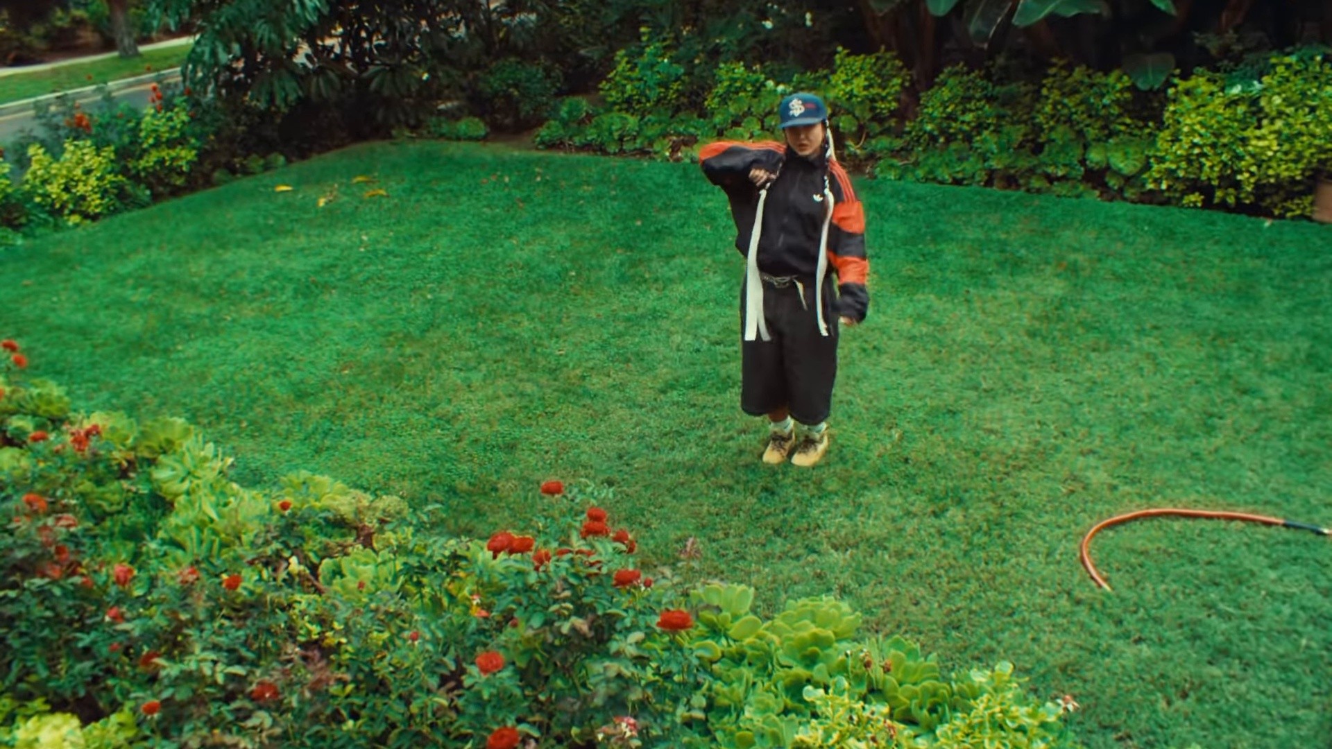 DROPPING SEEDS (2023) —  shot,  lighting